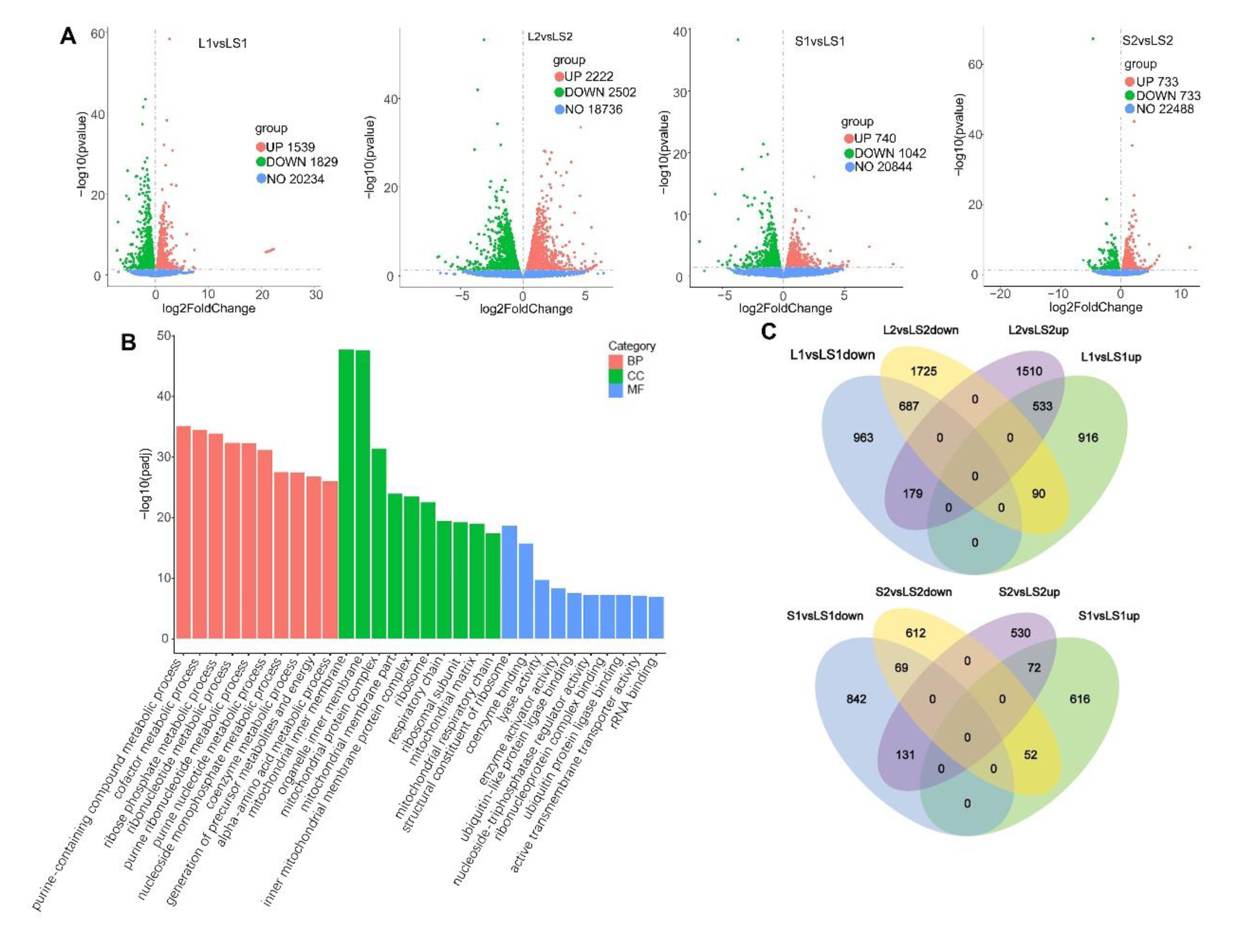 Nutrients 14 00560 g006