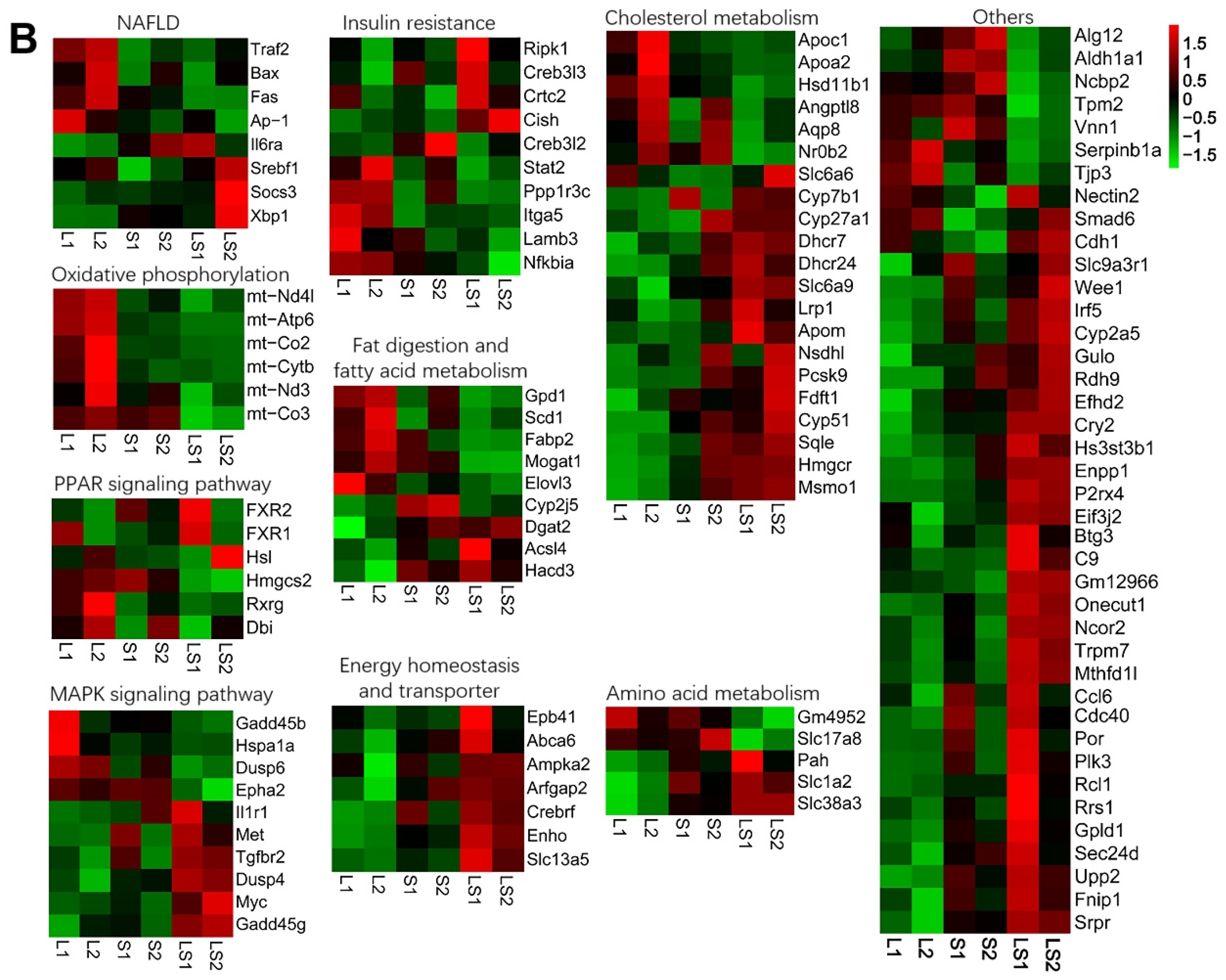 Nutrients 14 00560 g007b