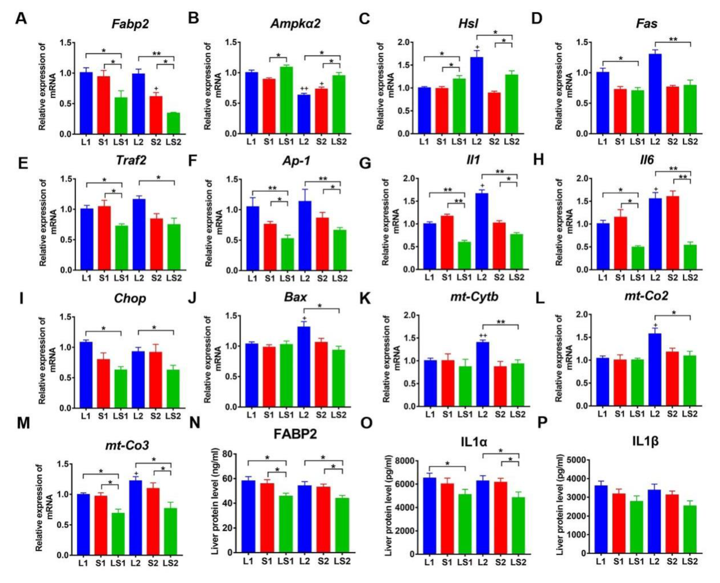 Nutrients 14 00560 g008