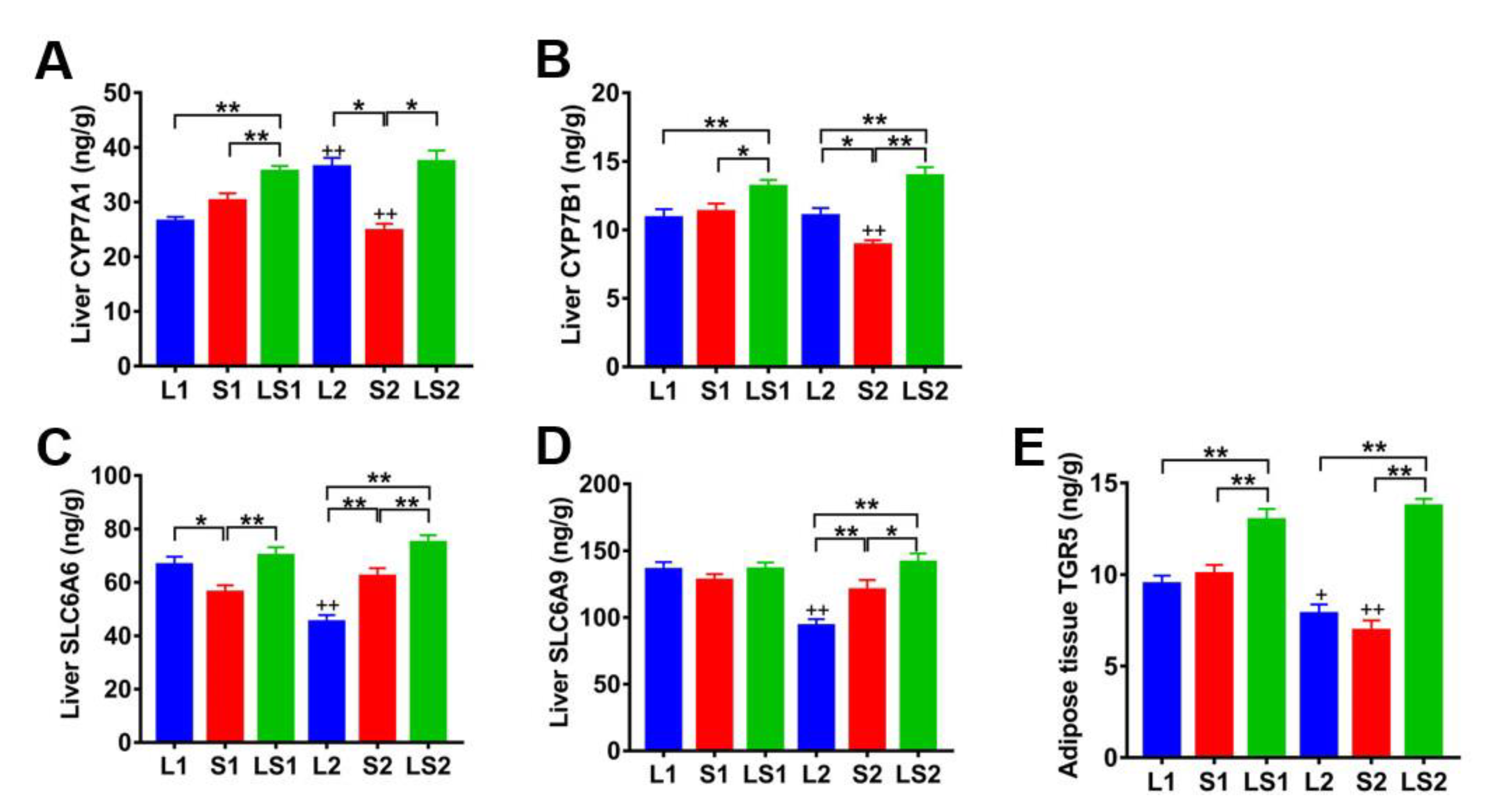 Nutrients 14 00560 g010