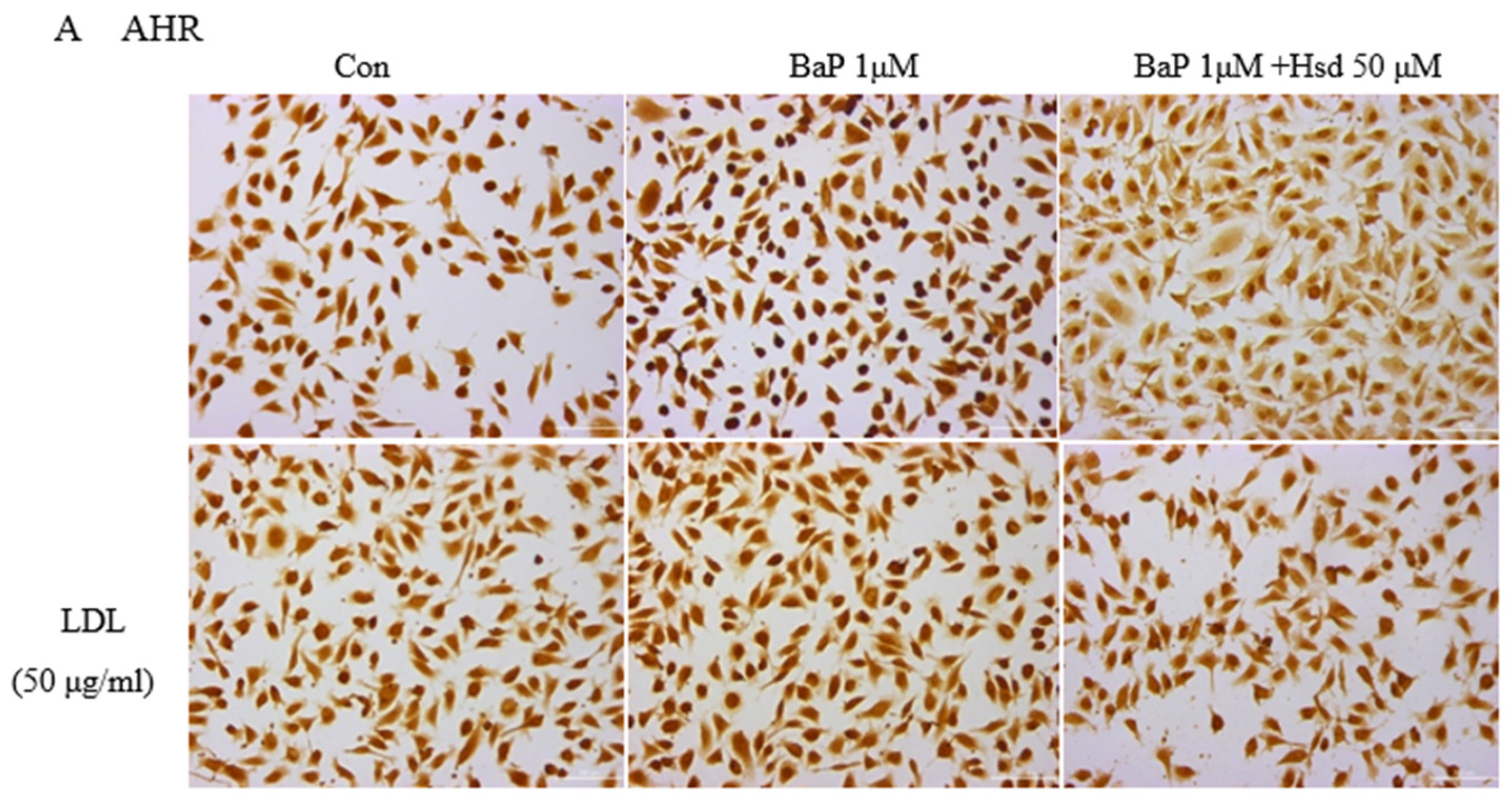 Nutrients 14 00574 g001a
