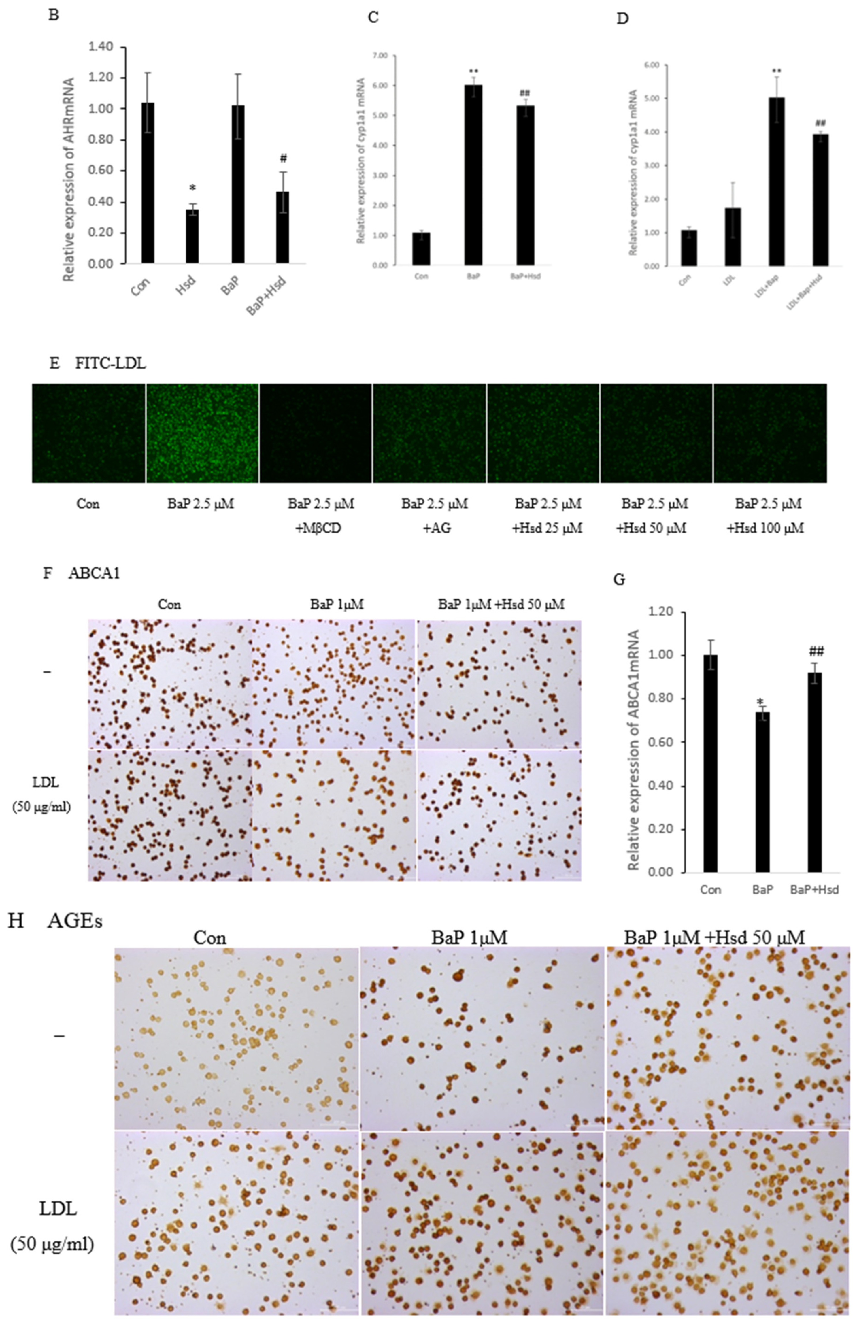 Nutrients 14 00574 g001b