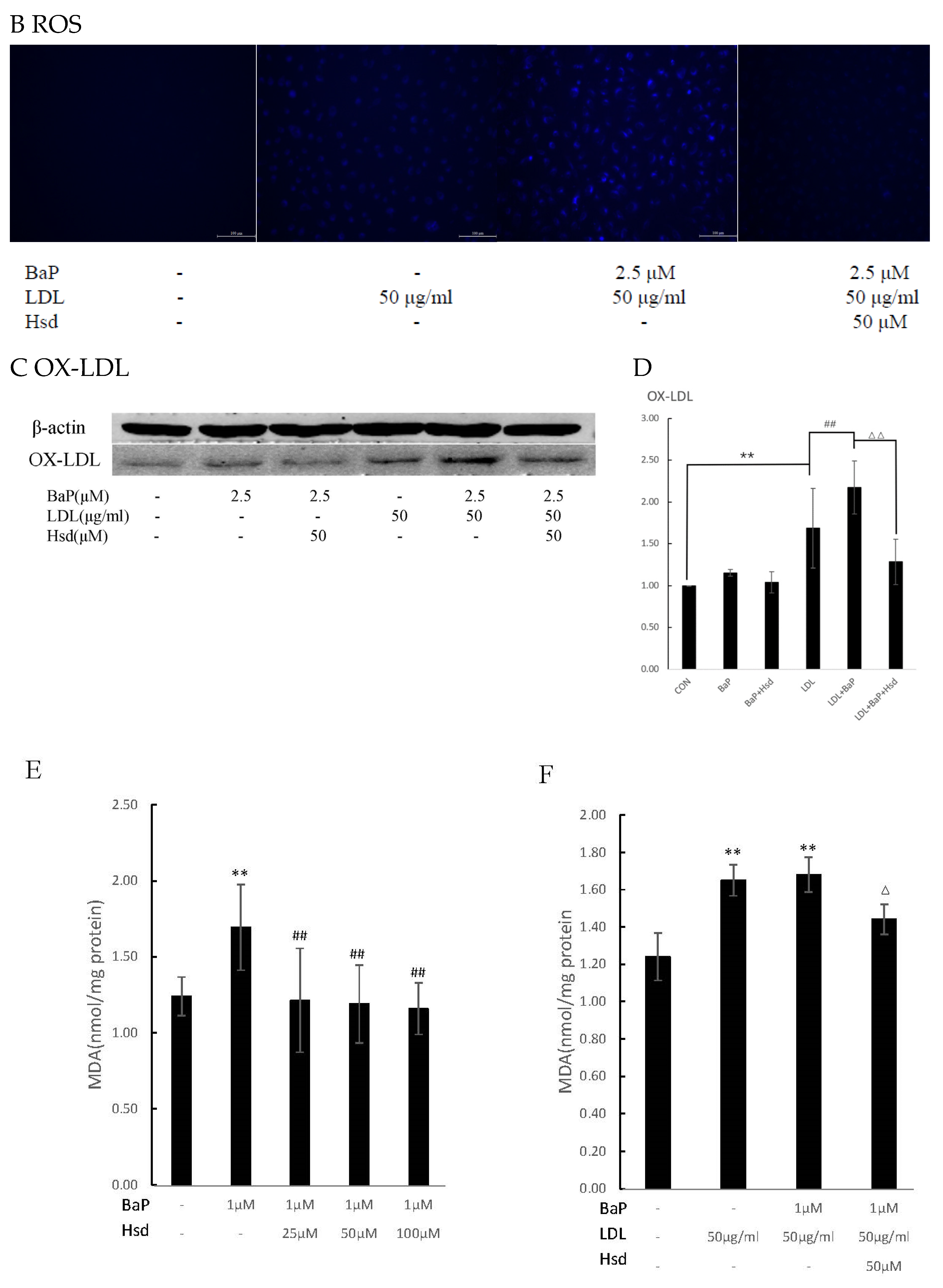 Nutrients 14 00574 g002b