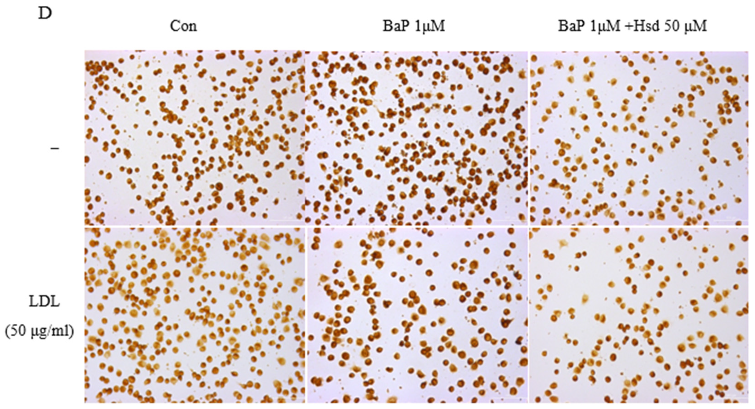Nutrients 14 00574 g003b