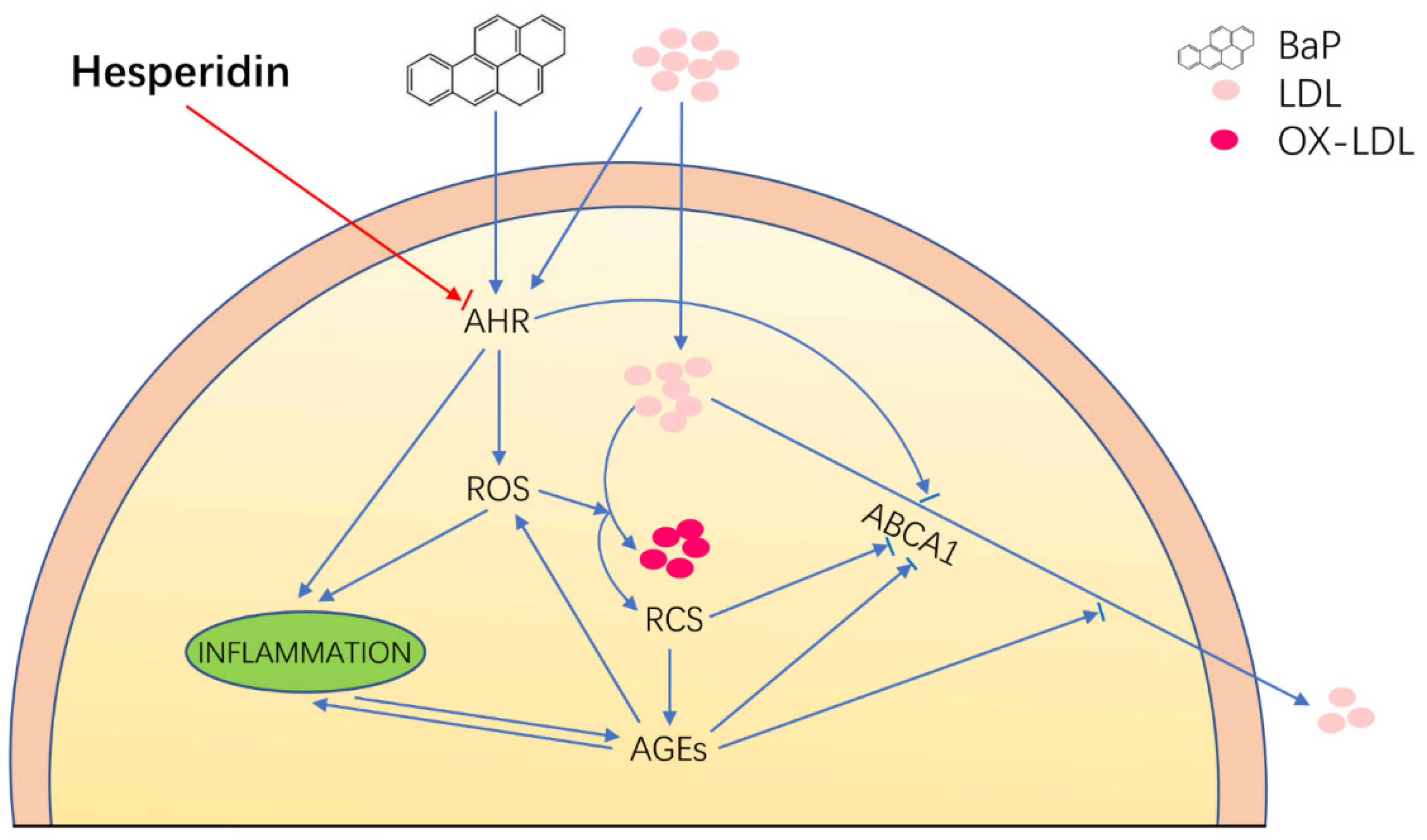 Nutrients 14 00574 g004