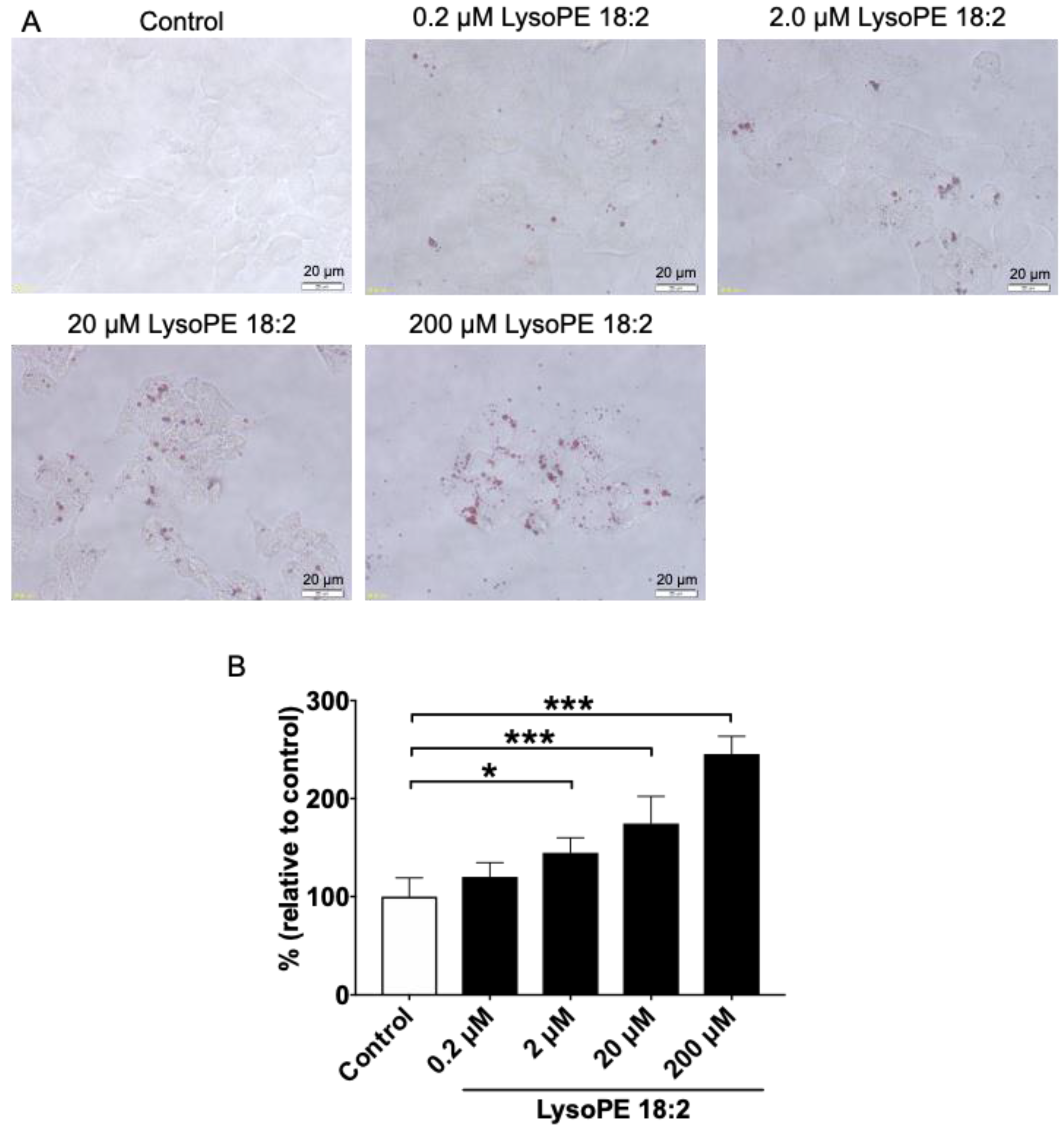 Nutrients 14 00579 g002
