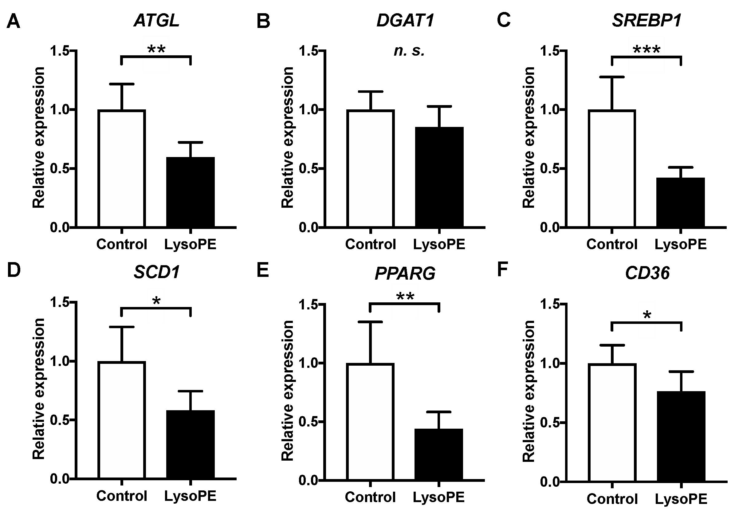 Nutrients 14 00579 g007