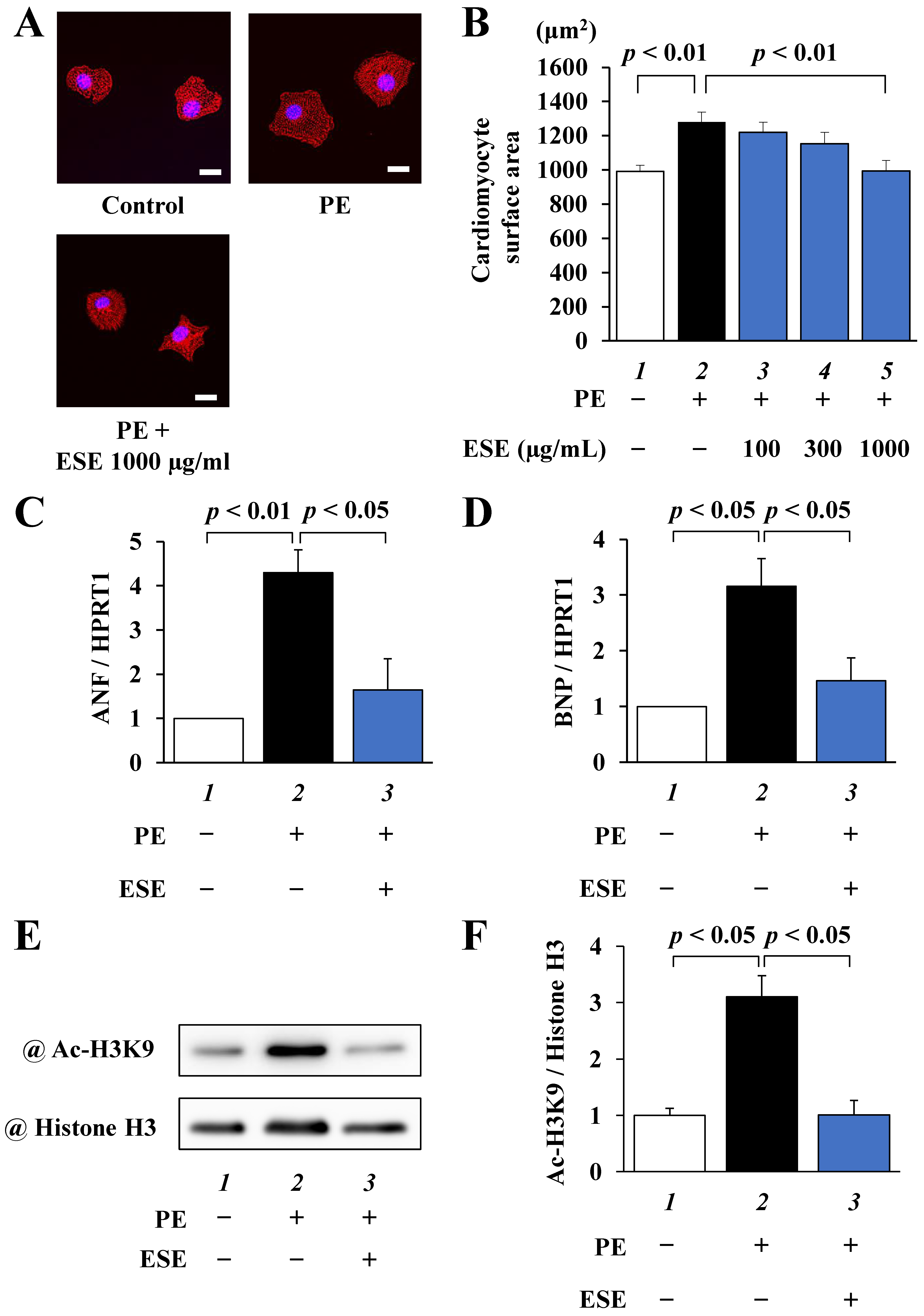 Nutrients 14 00580 g001