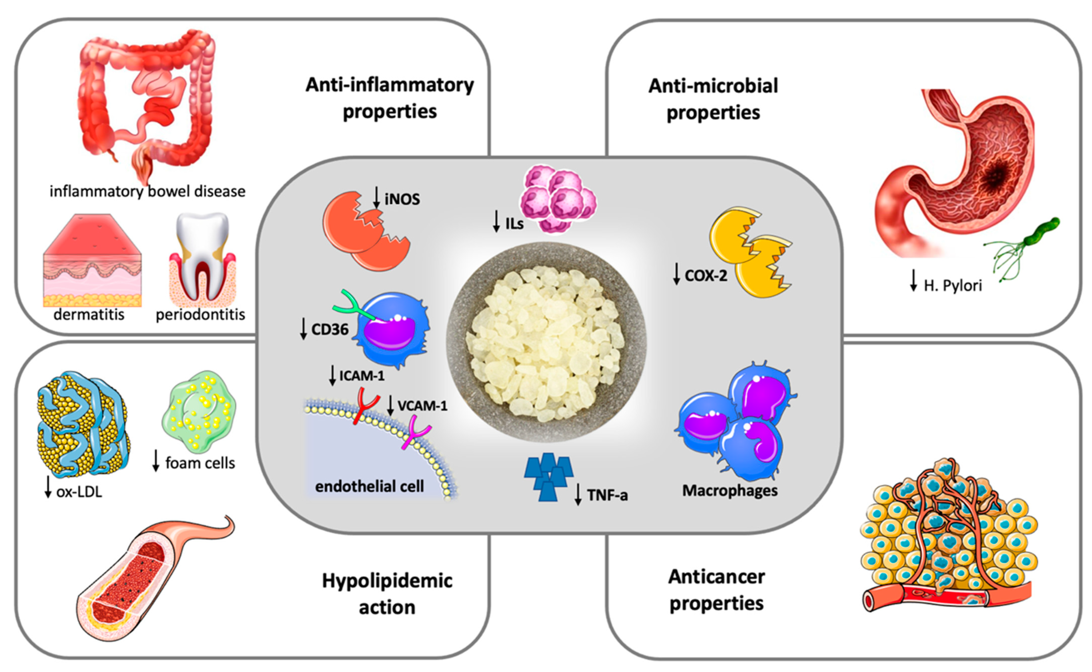 Nutrients 14 00590 g001