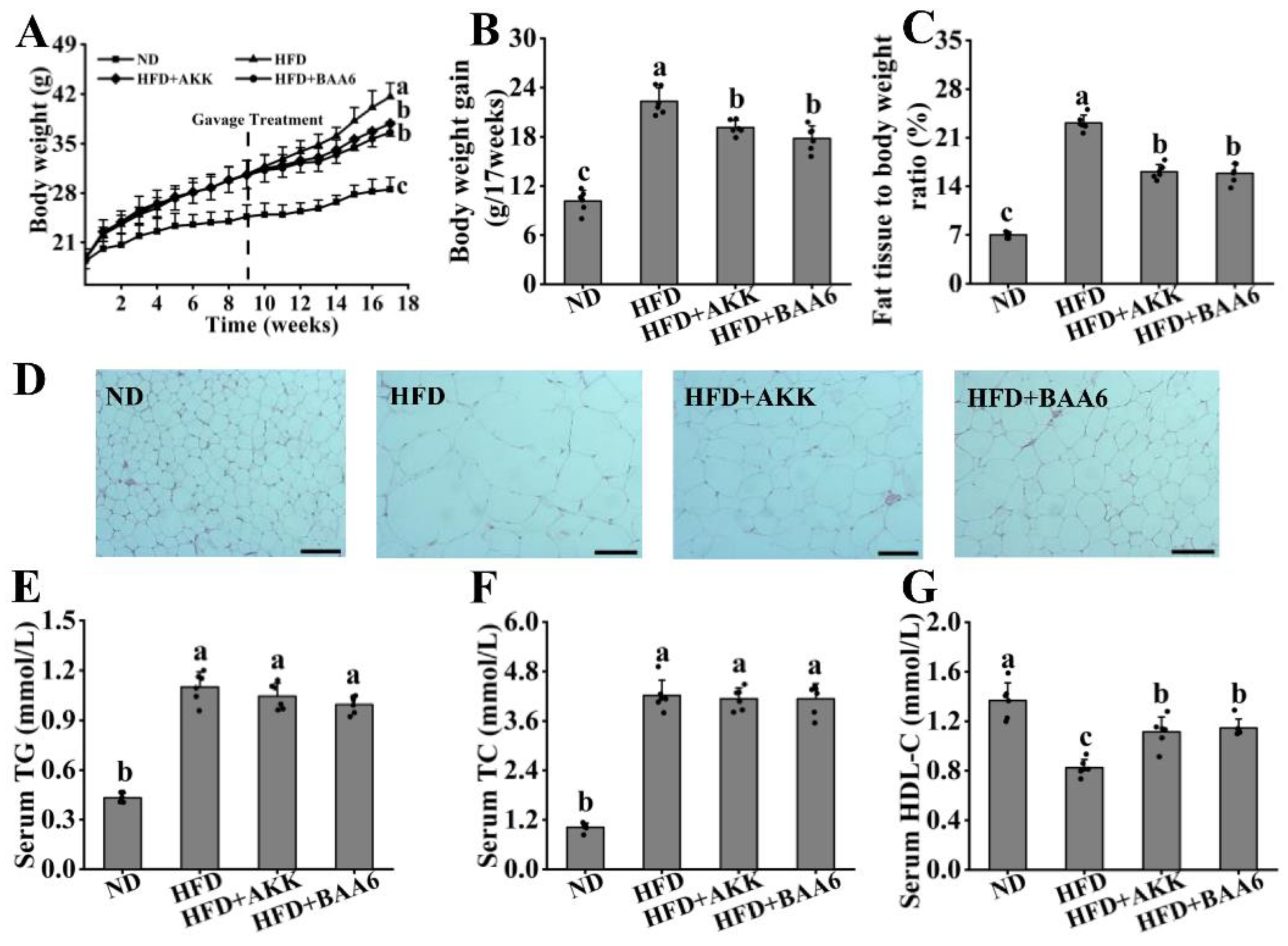 Nutrients 14 00598 g001 Nutrients 14 00598 g001