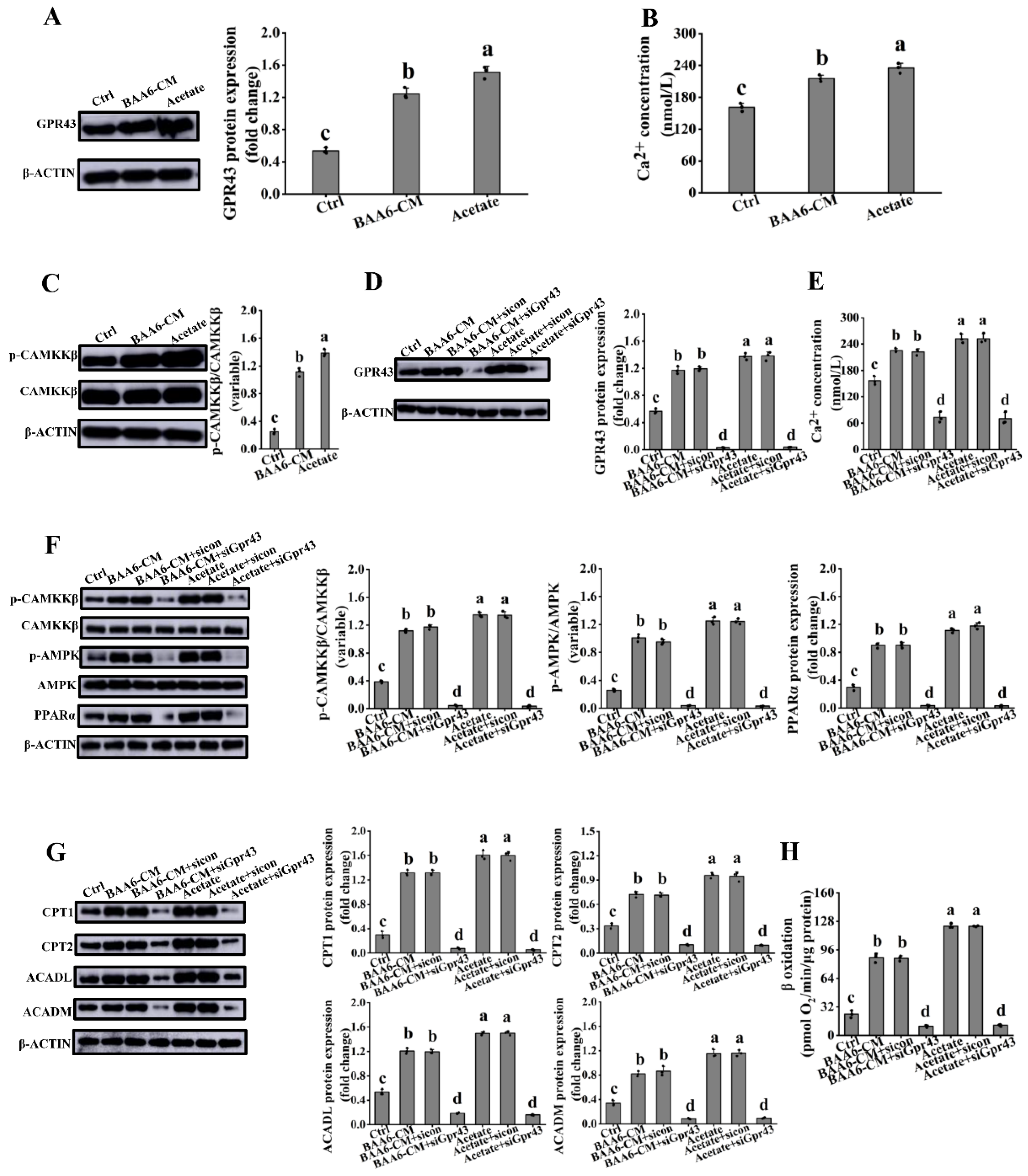 Nutrients 14 00598 g007 Nutrients 14 00598 g007