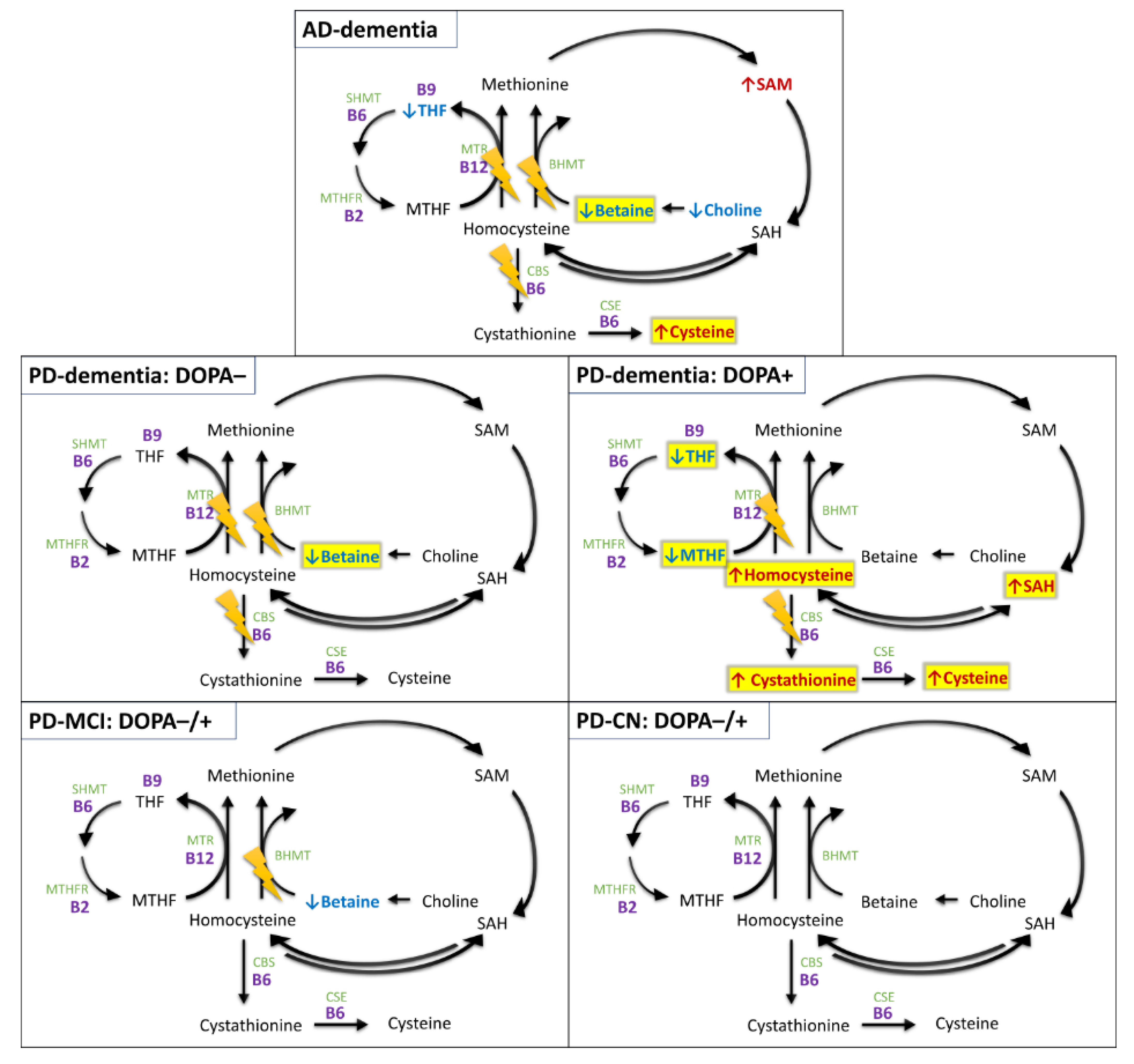 Nutrients 14 00599 g007