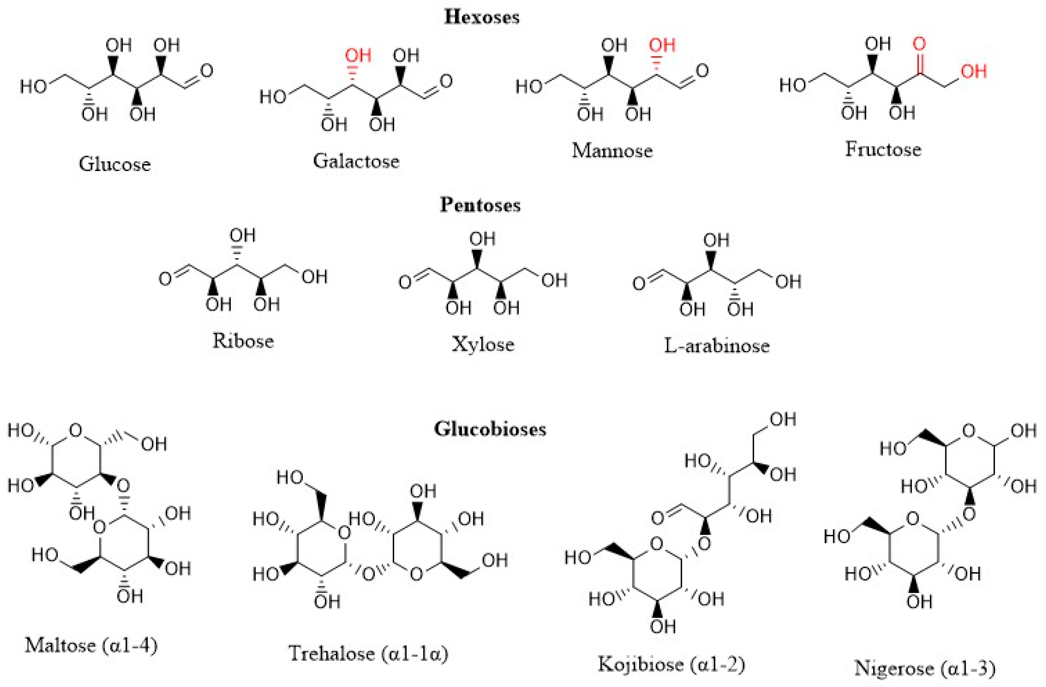 Nutrients 14 00611 g001