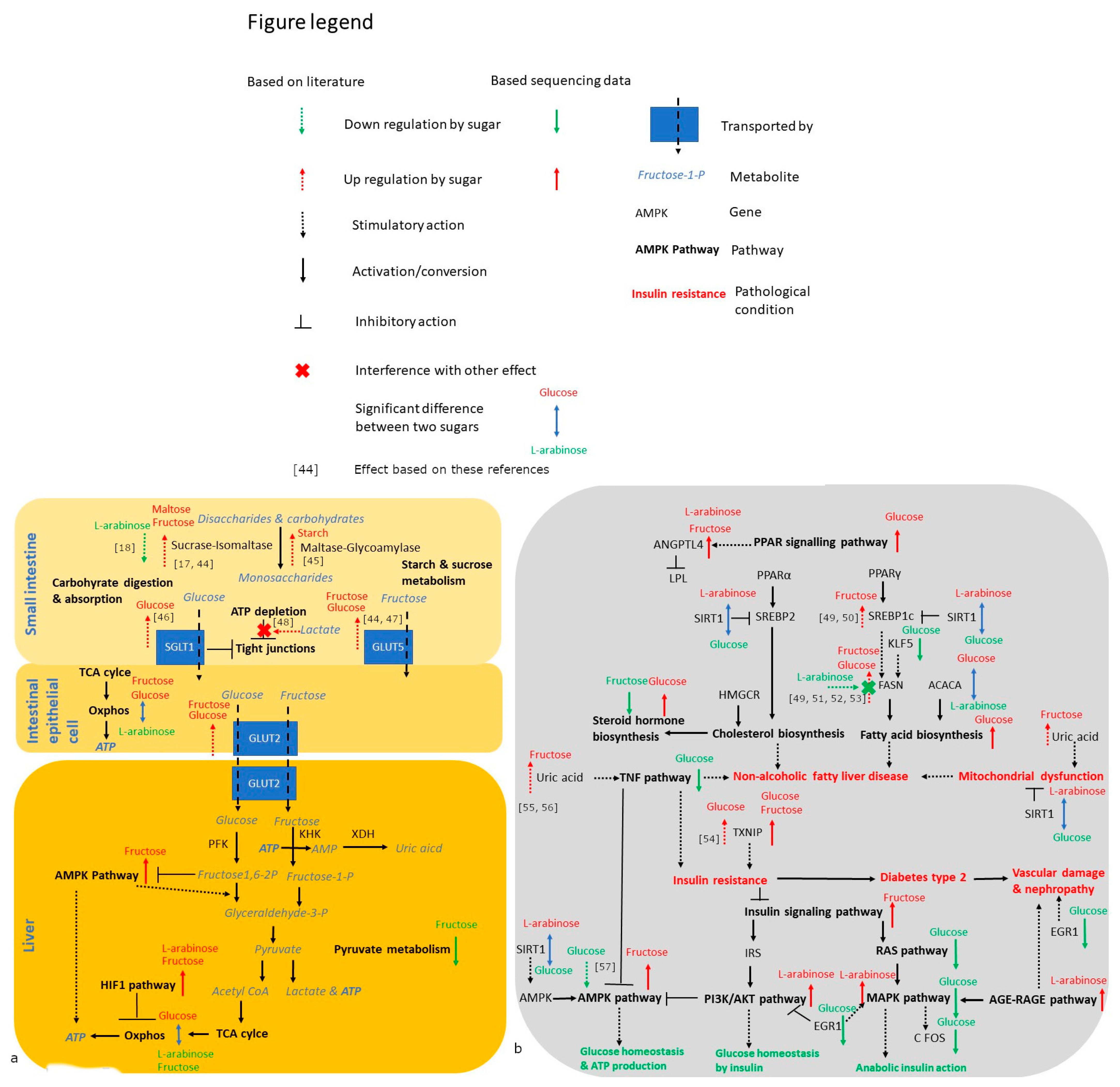 Nutrients 14 00611 g006