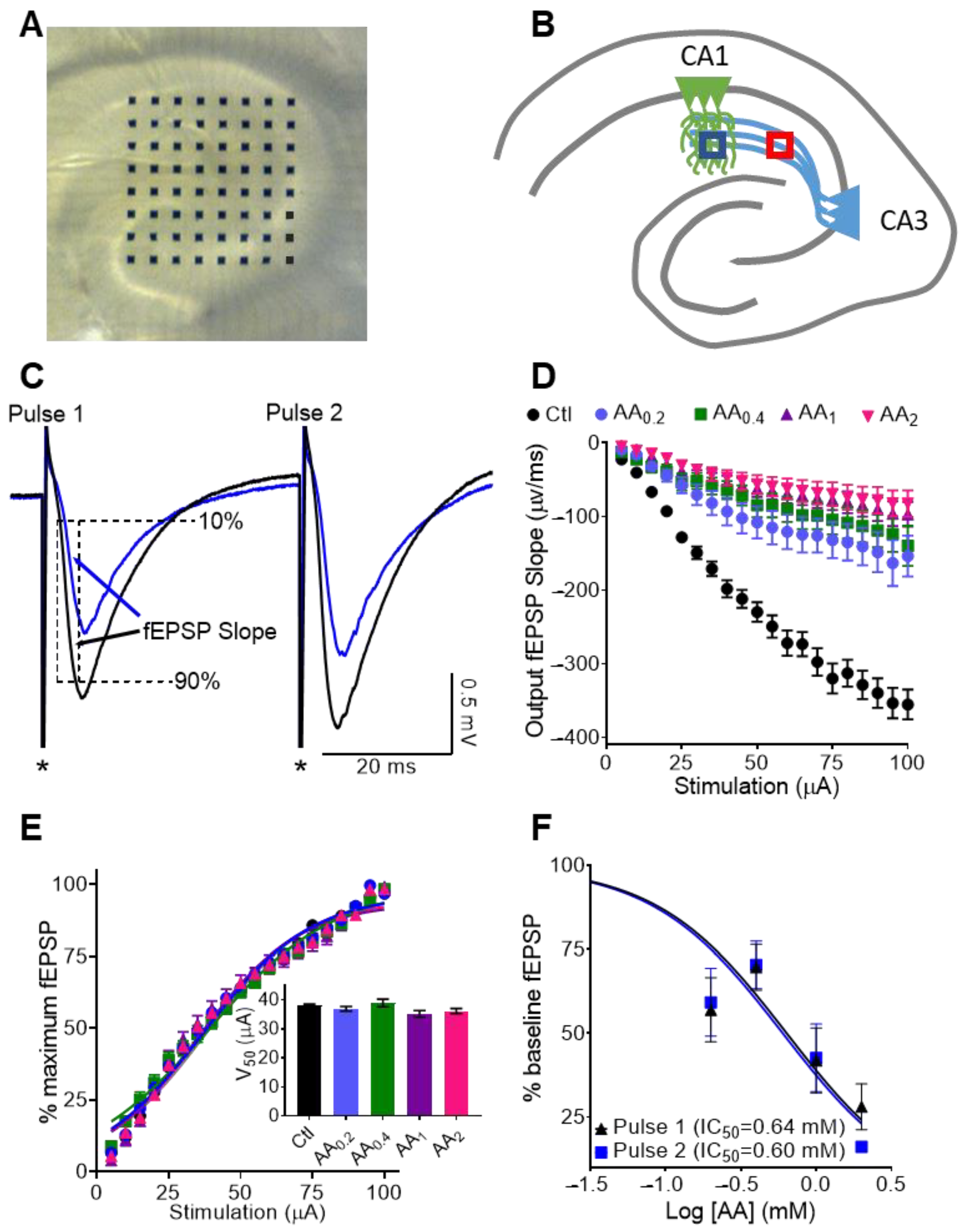 Nutrients 14 00613 g001