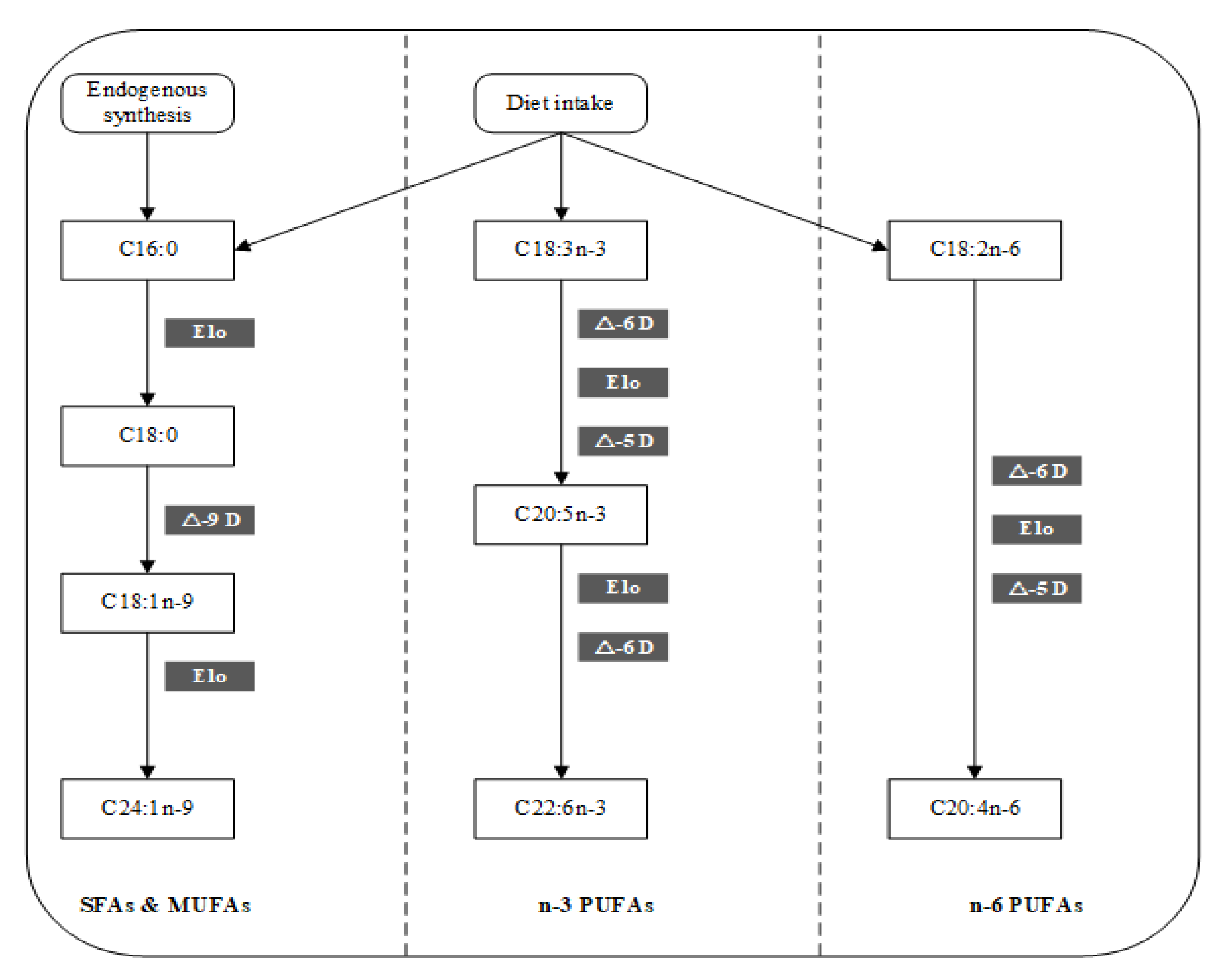 Nutrients 14 00618 g004