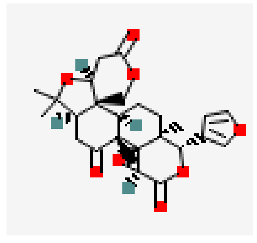 Nutrients 14 00619 g002 Nutrients 14 00619 g002