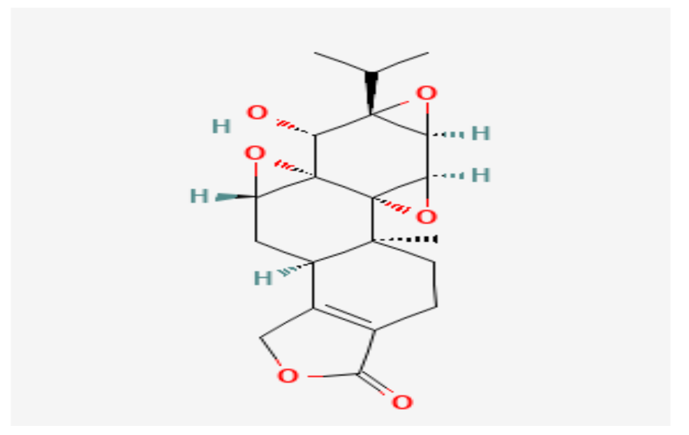 Nutrients 14 00619 g005 Nutrients 14 00619 g005