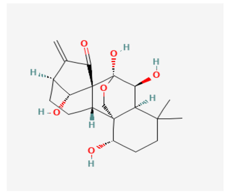 Nutrients 14 00619 g006 Nutrients 14 00619 g006
