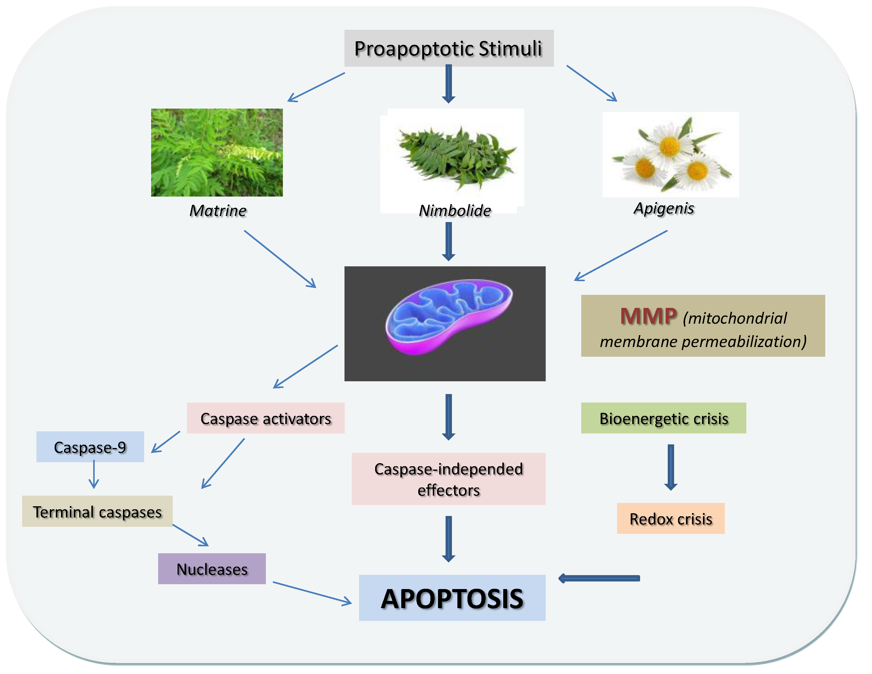 Nutrients 14 00619 g007 Nutrients 14 00619 g007