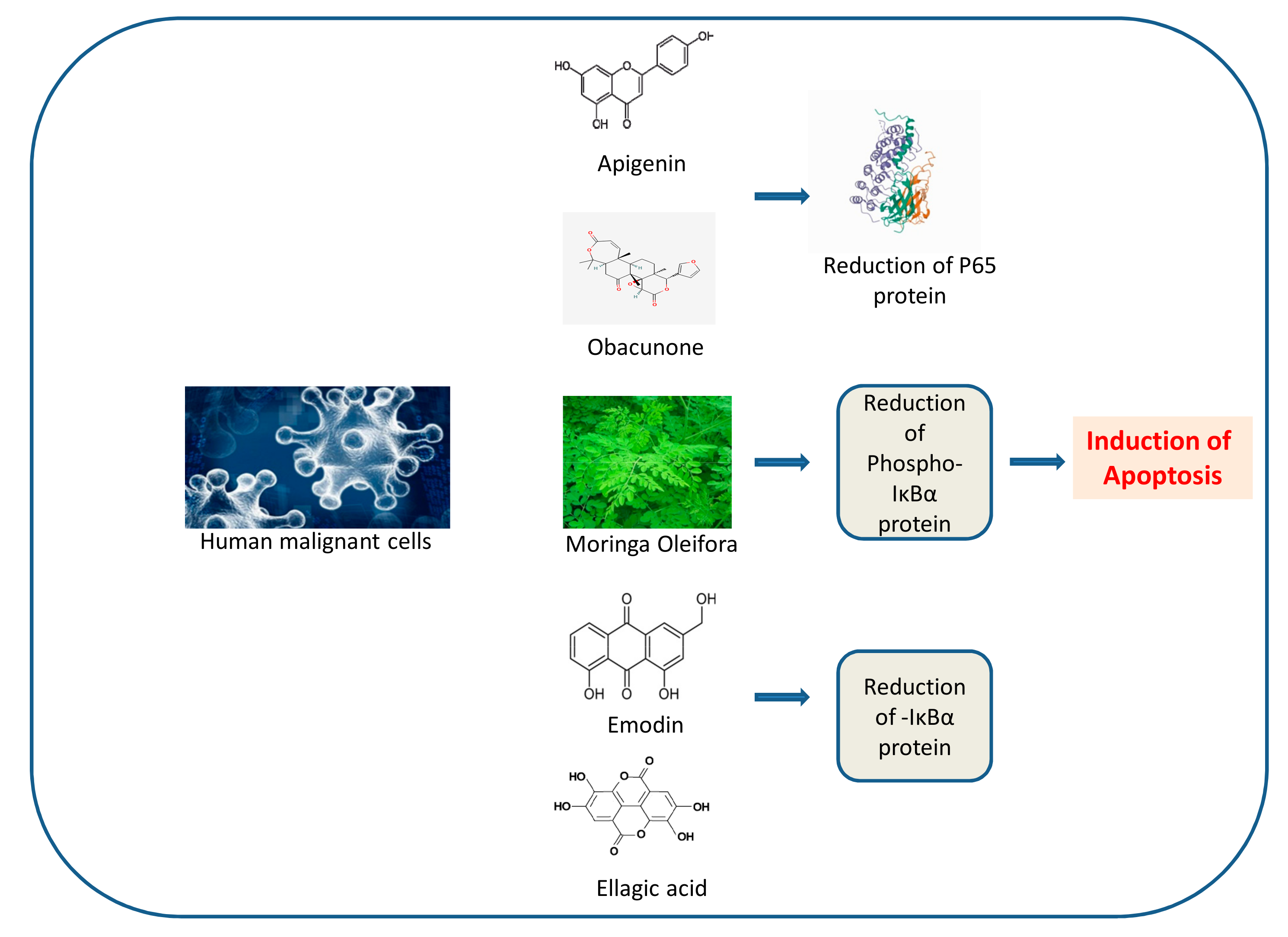 Nutrients 14 00619 g008 Nutrients 14 00619 g008