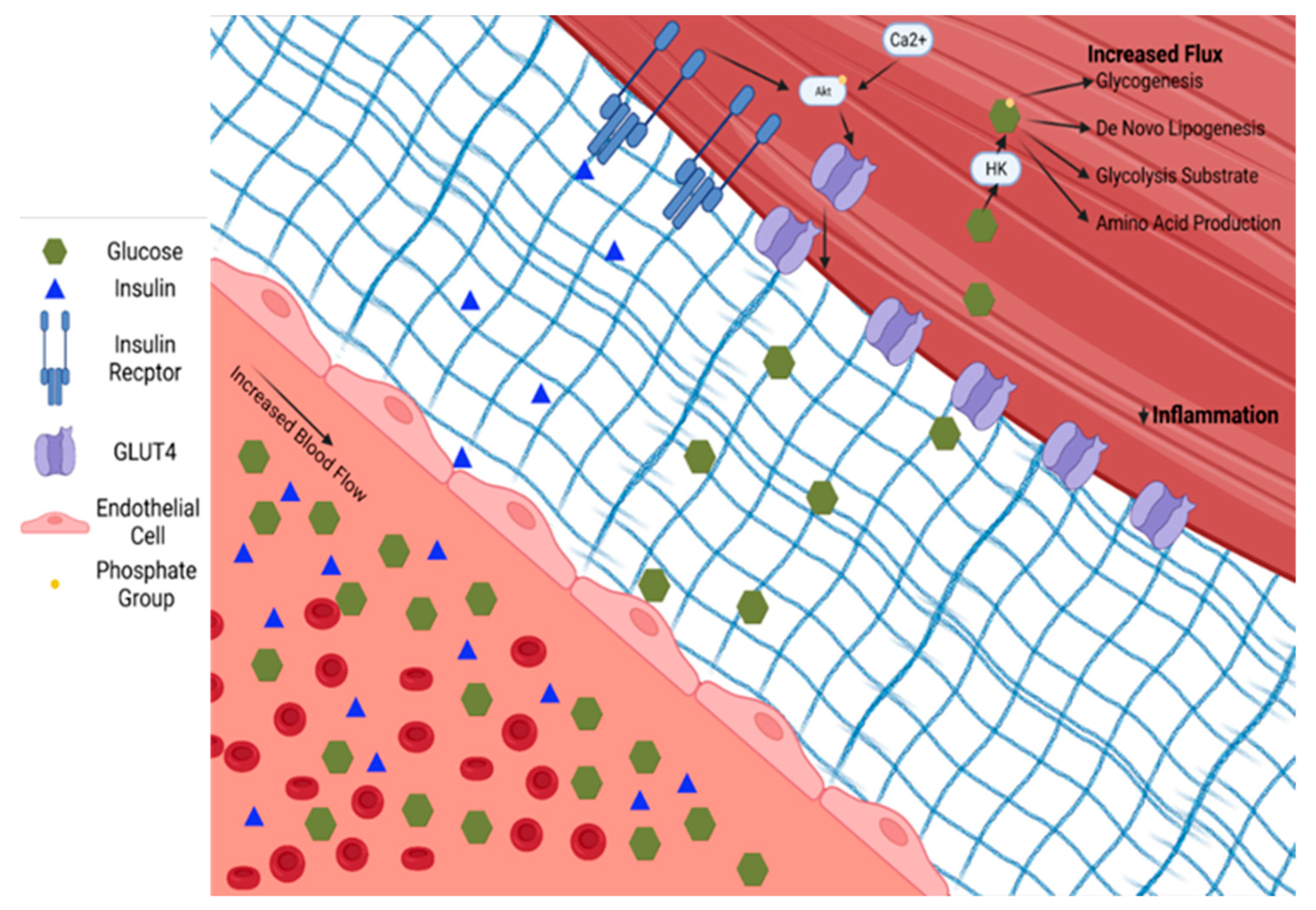 Nutrients 14 00647 g003