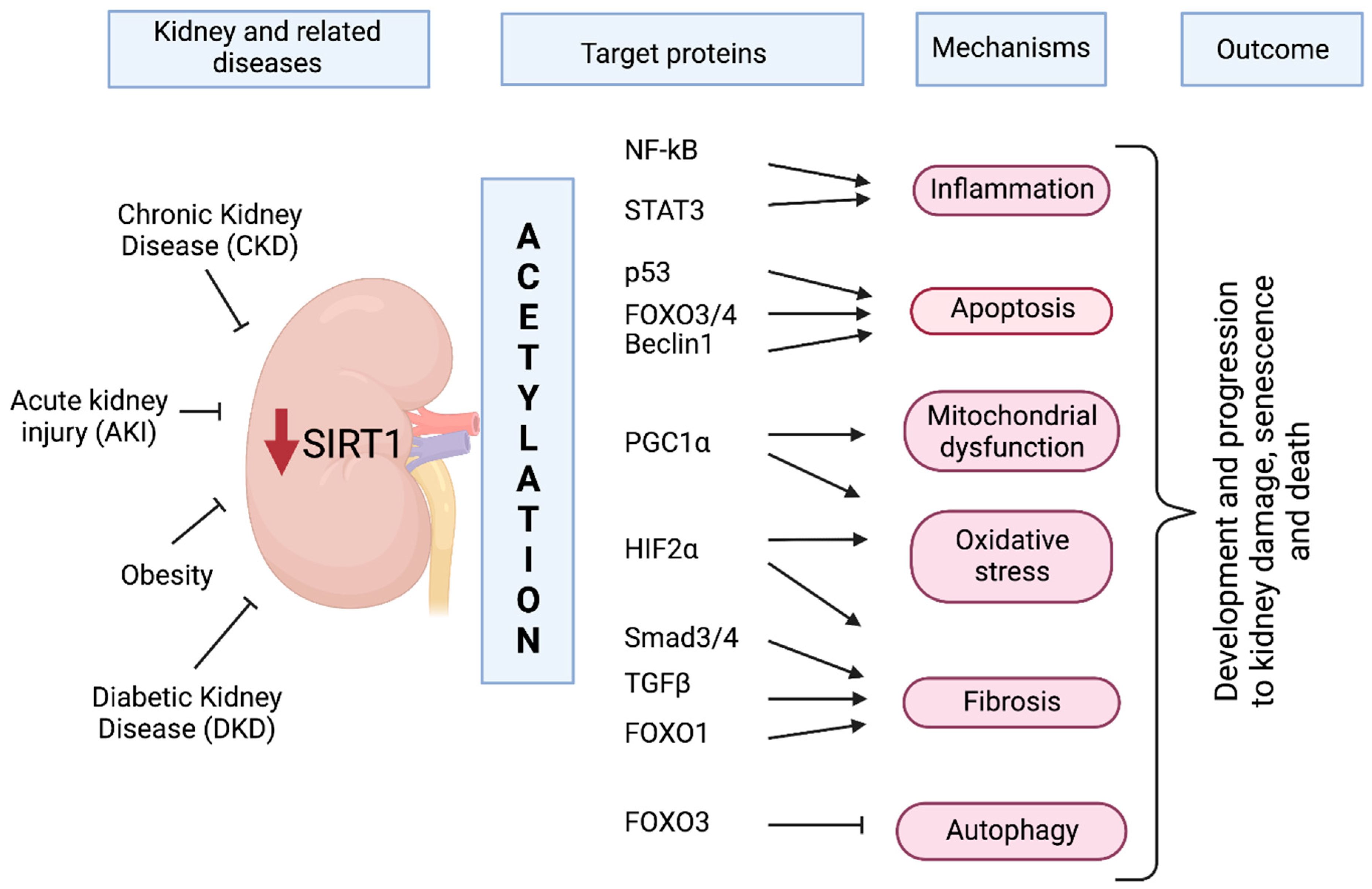Nutrients 14 00653 g001 Nutrients 14 00653 g001