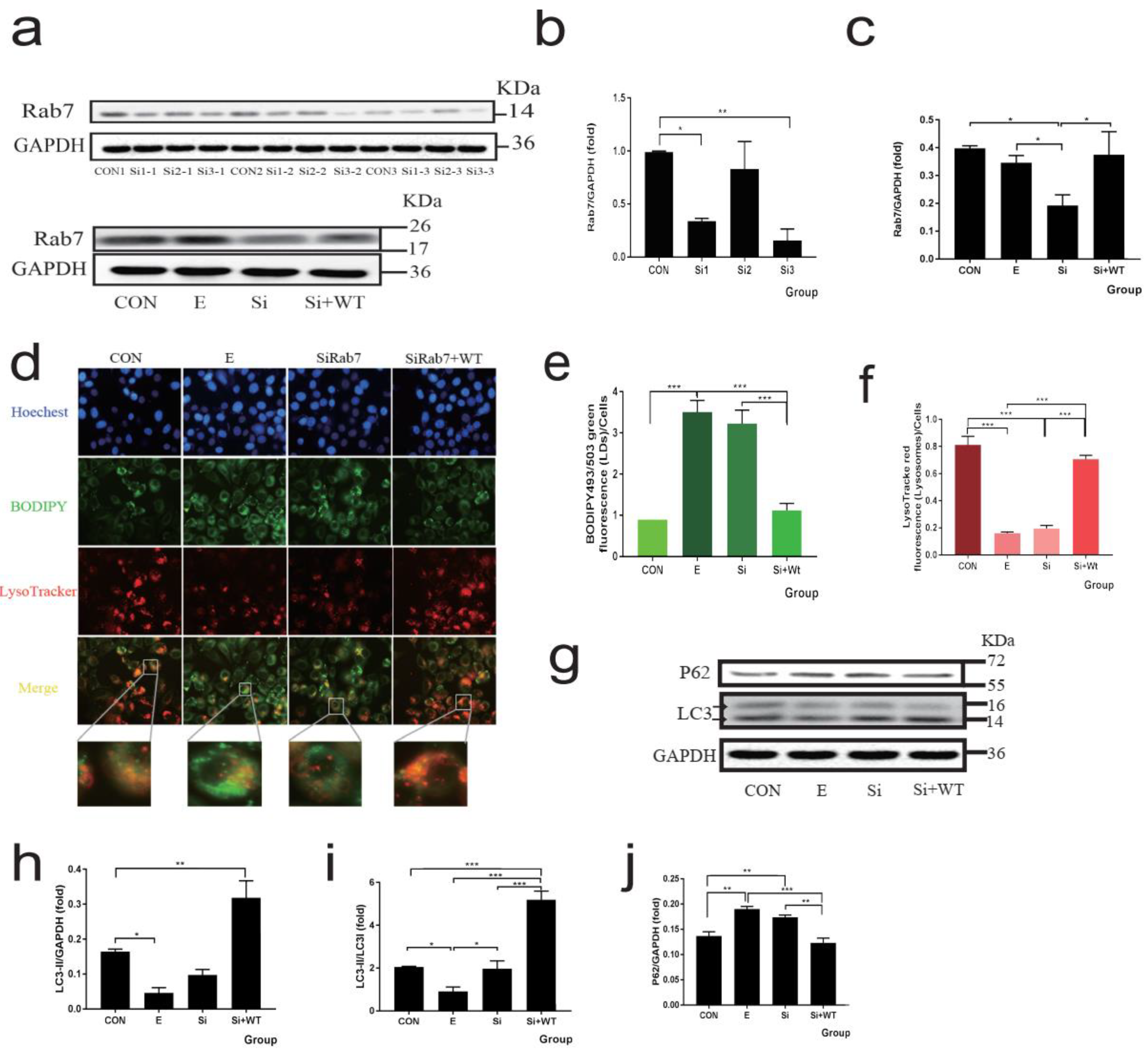 Nutrients 14 00658 g003 Nutrients 14 00658 g003