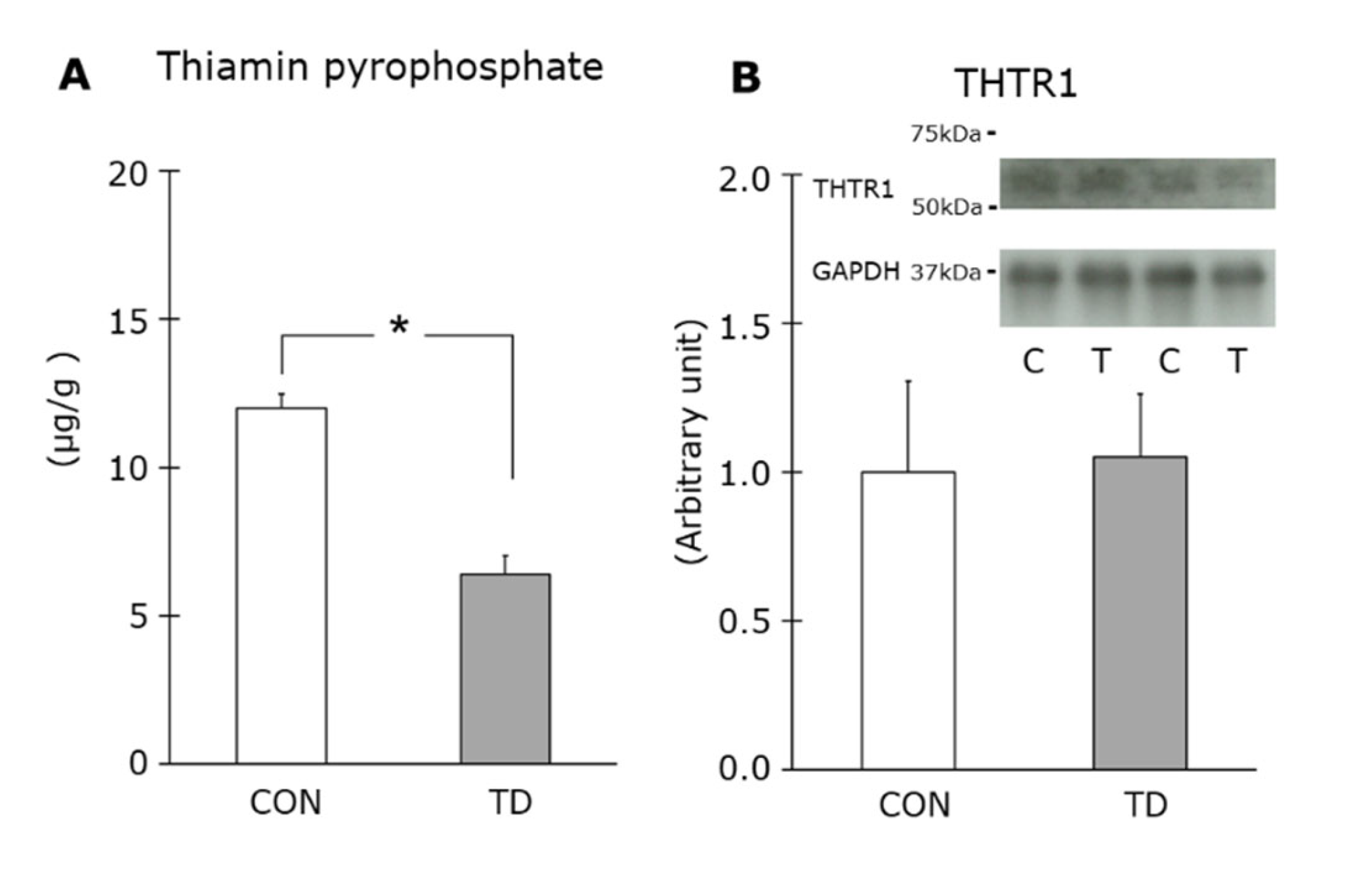 Nutrients 14 00710 g002