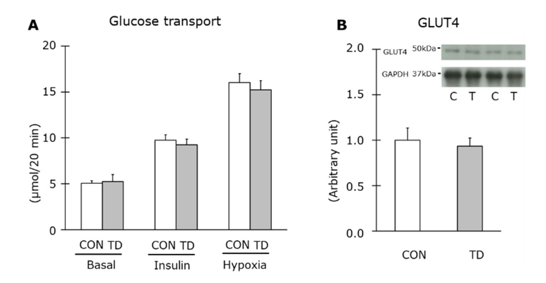 Nutrients 14 00710 g004