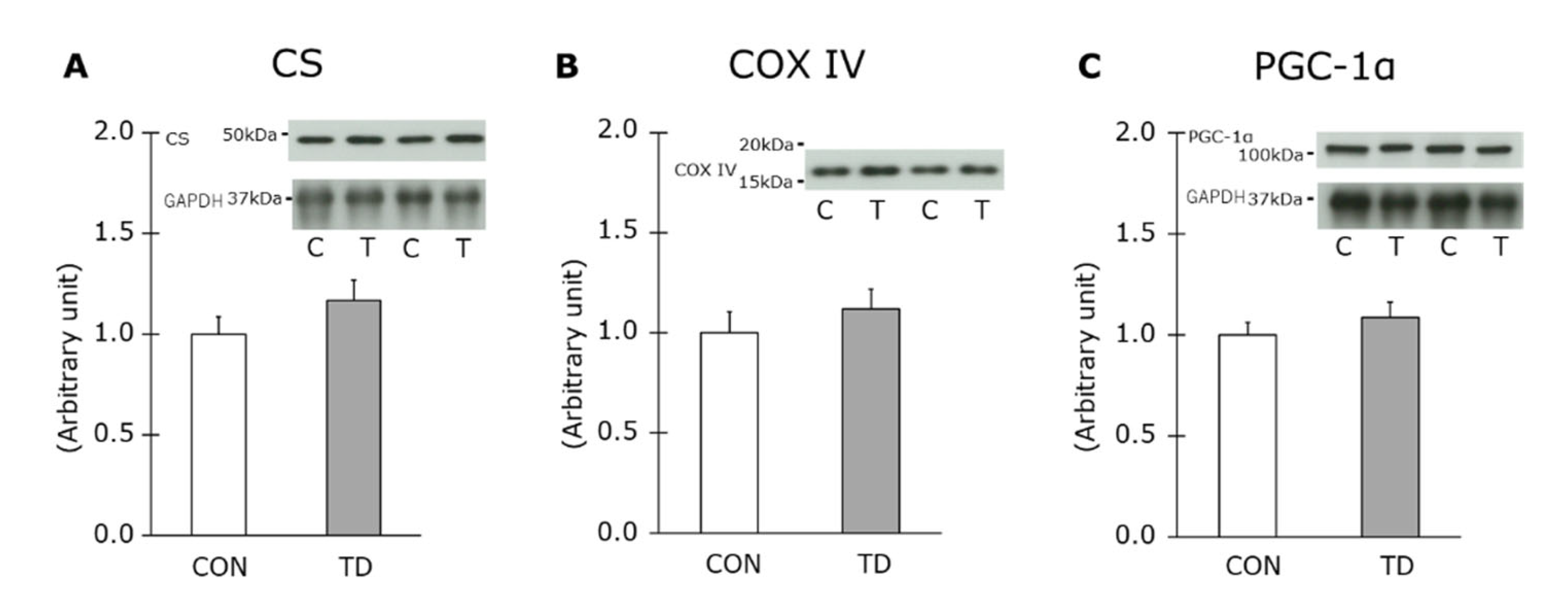 Nutrients 14 00710 g005