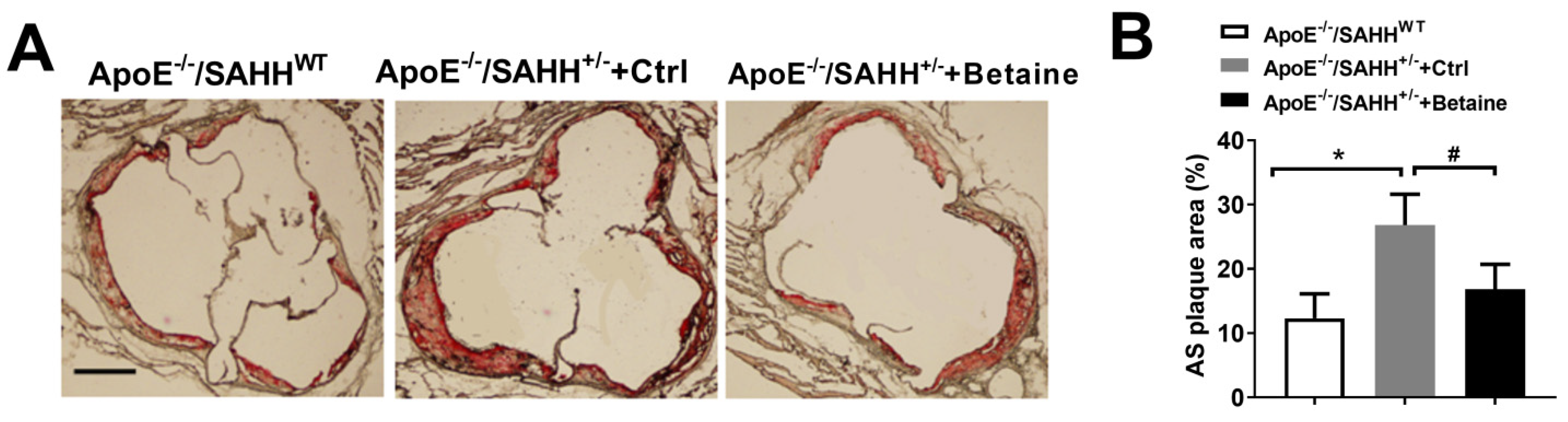 Nutrients 14 00718 g003 Nutrients 14 00718 g003