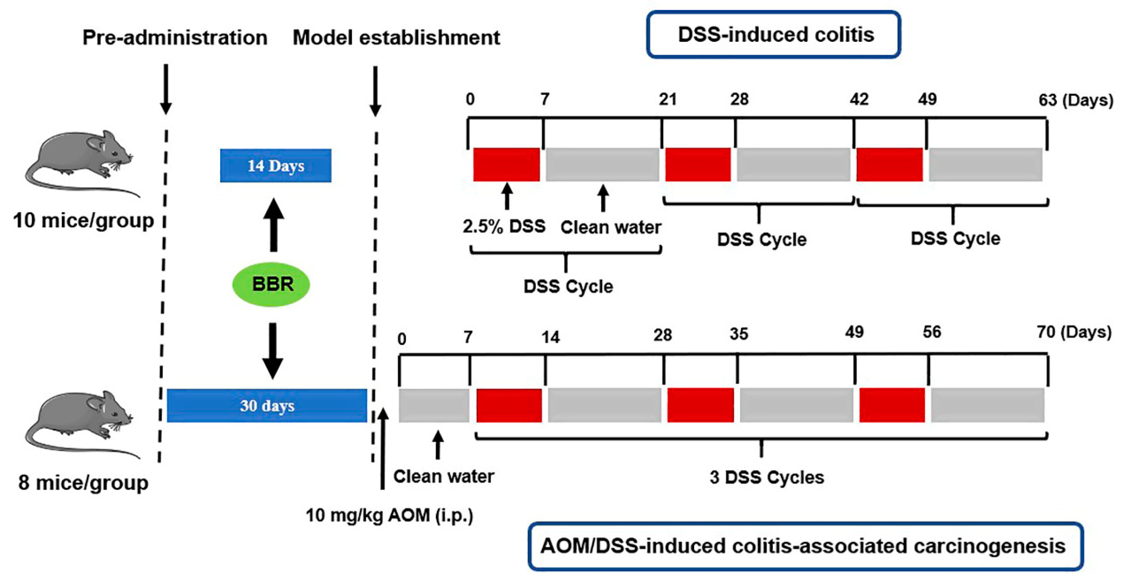 Nutrients 14 00726 g001
