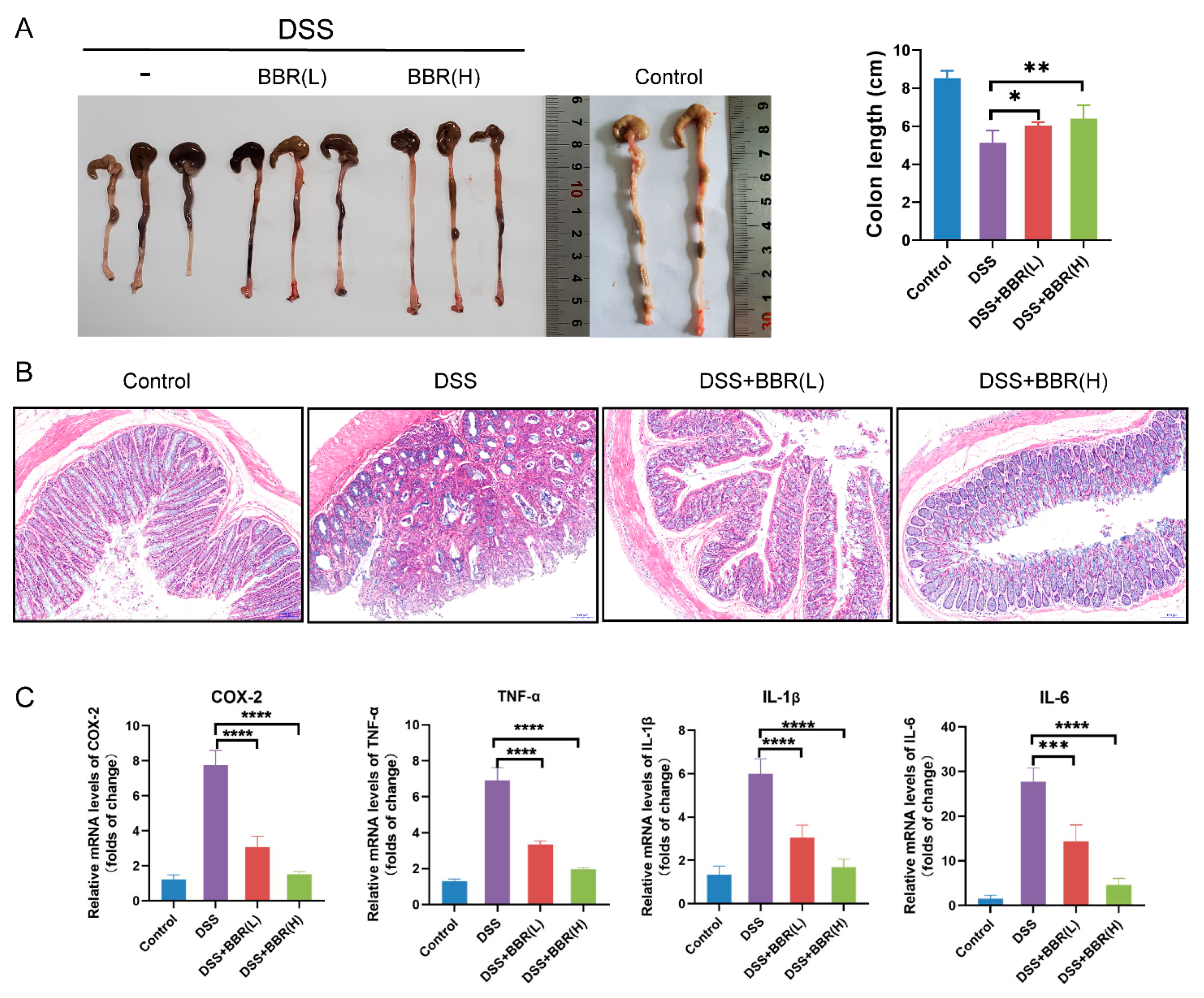 Nutrients 14 00726 g003