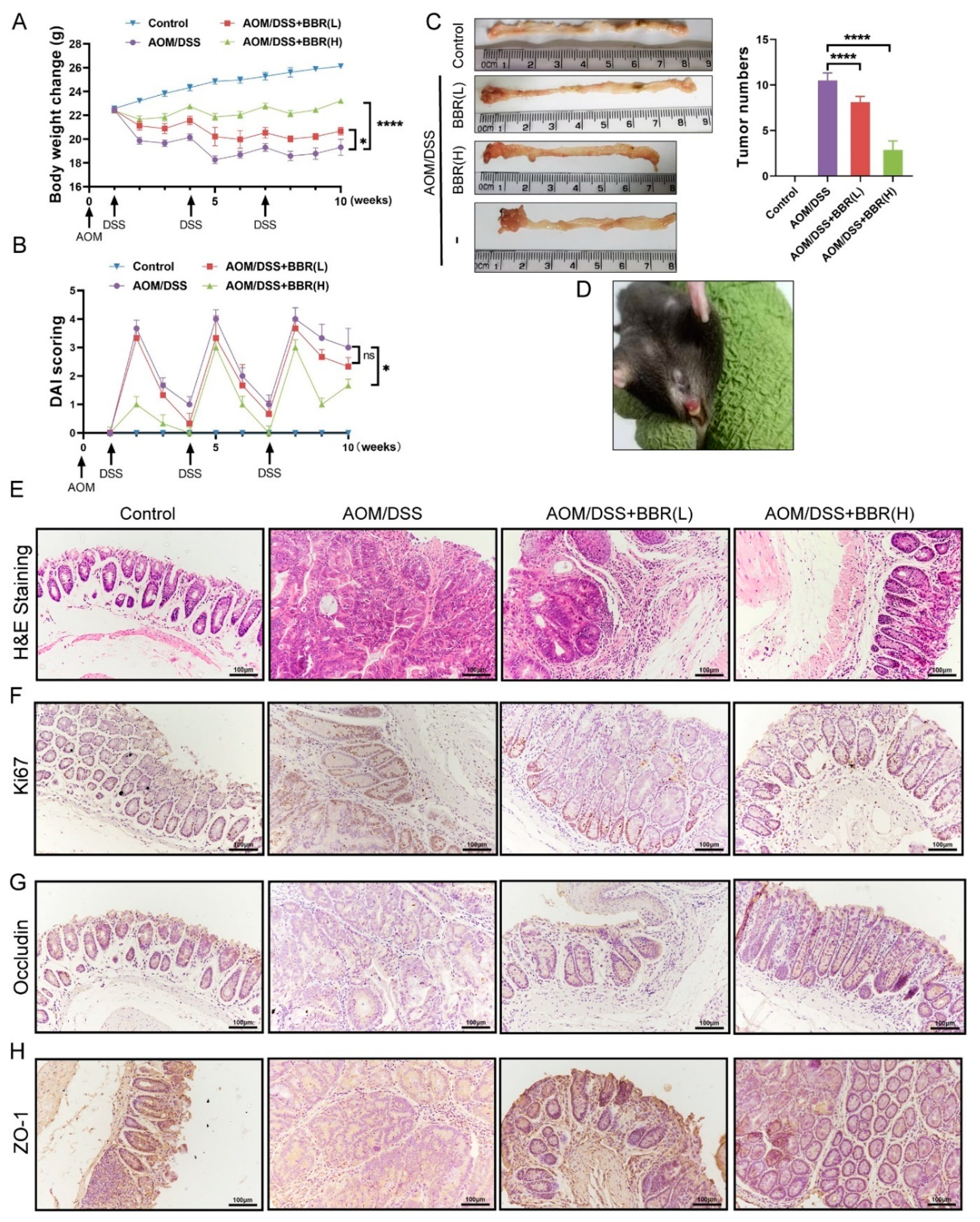 Nutrients 14 00726 g004