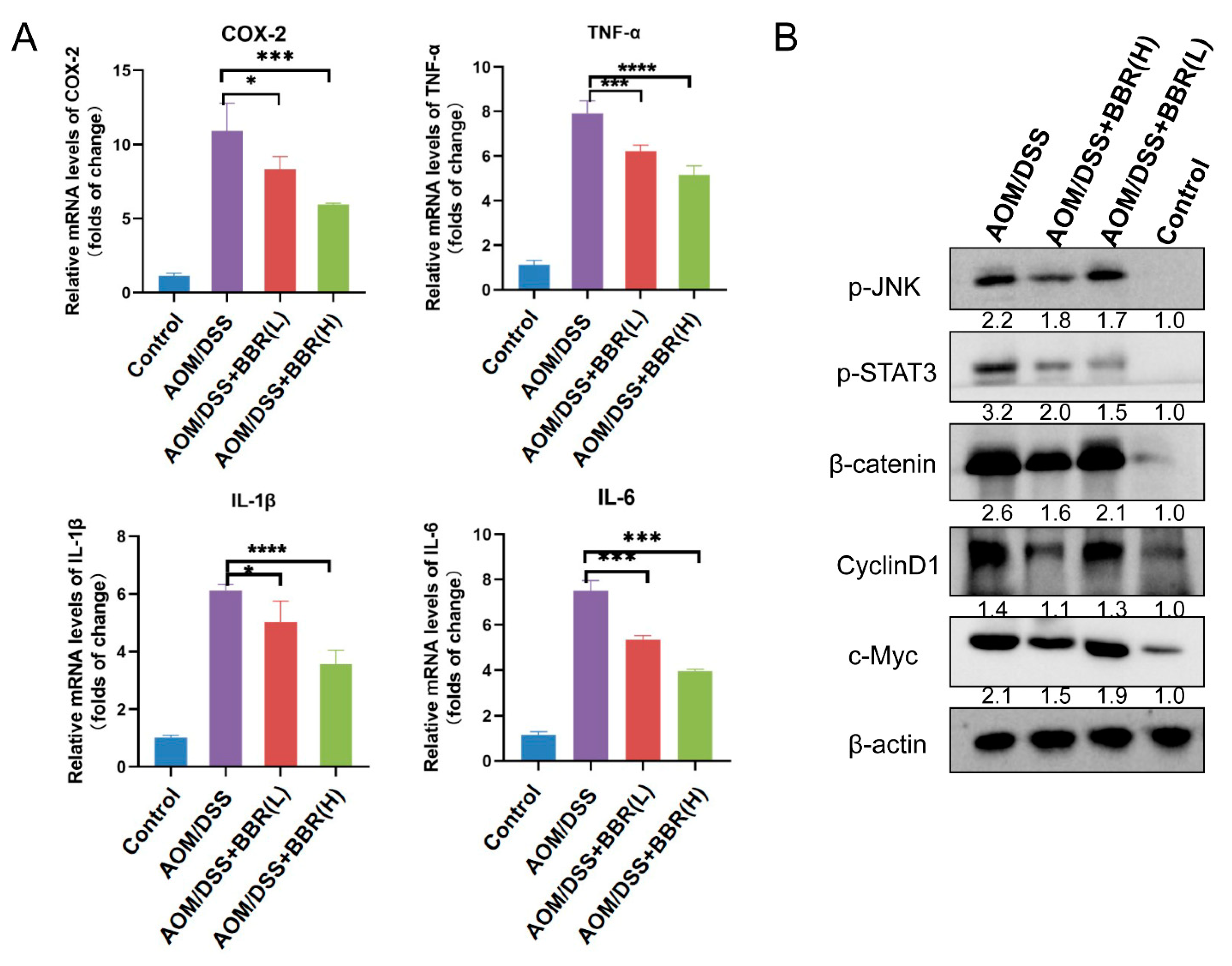 Nutrients 14 00726 g005