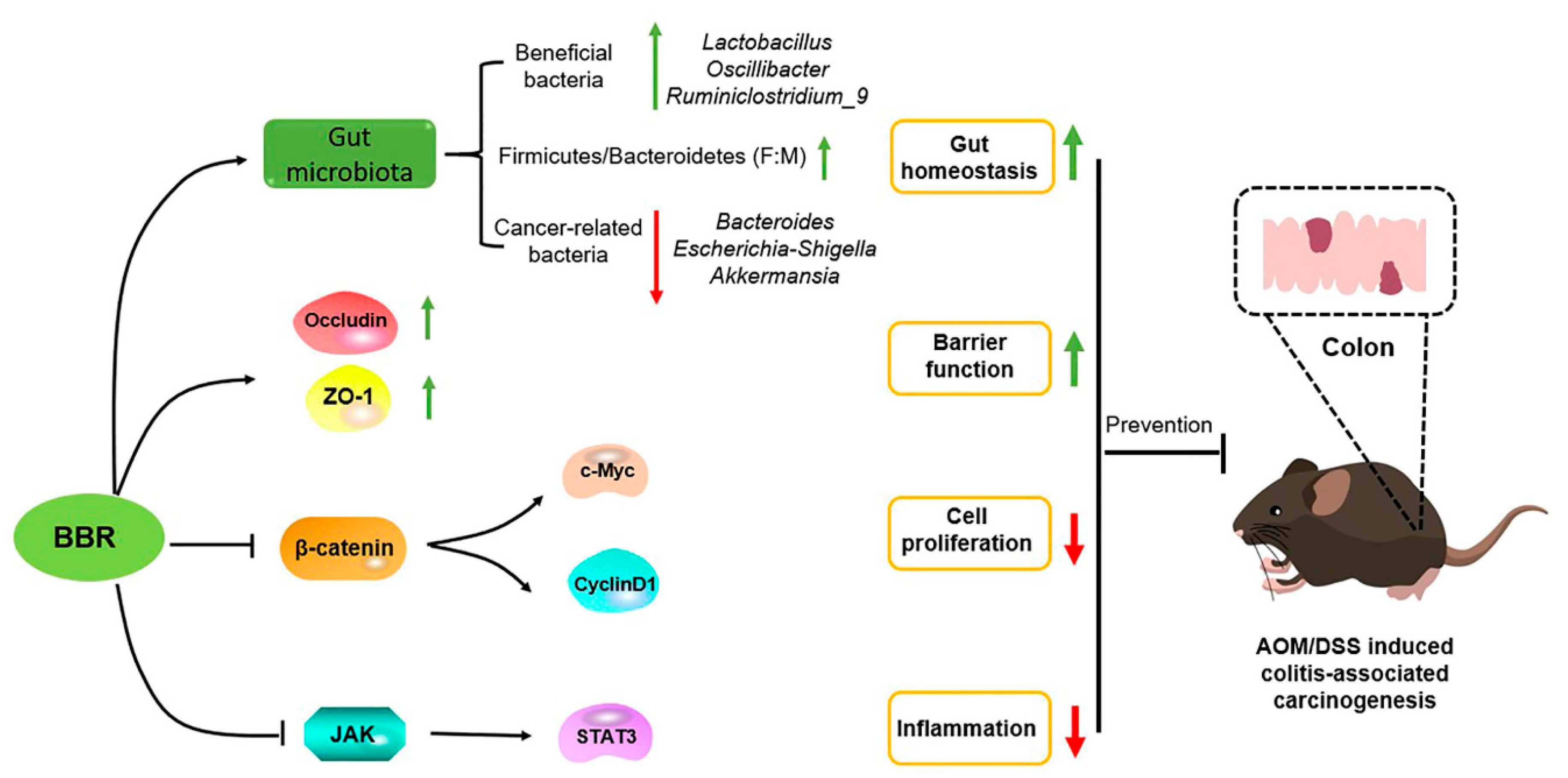 Nutrients 14 00726 g009