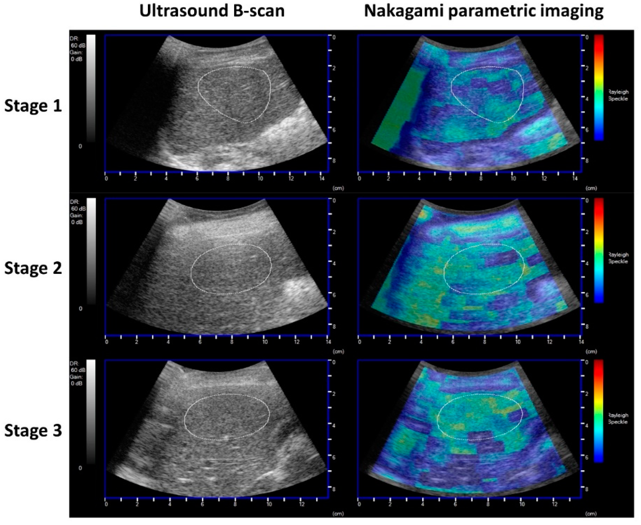 Nutrients 14 00727 g002