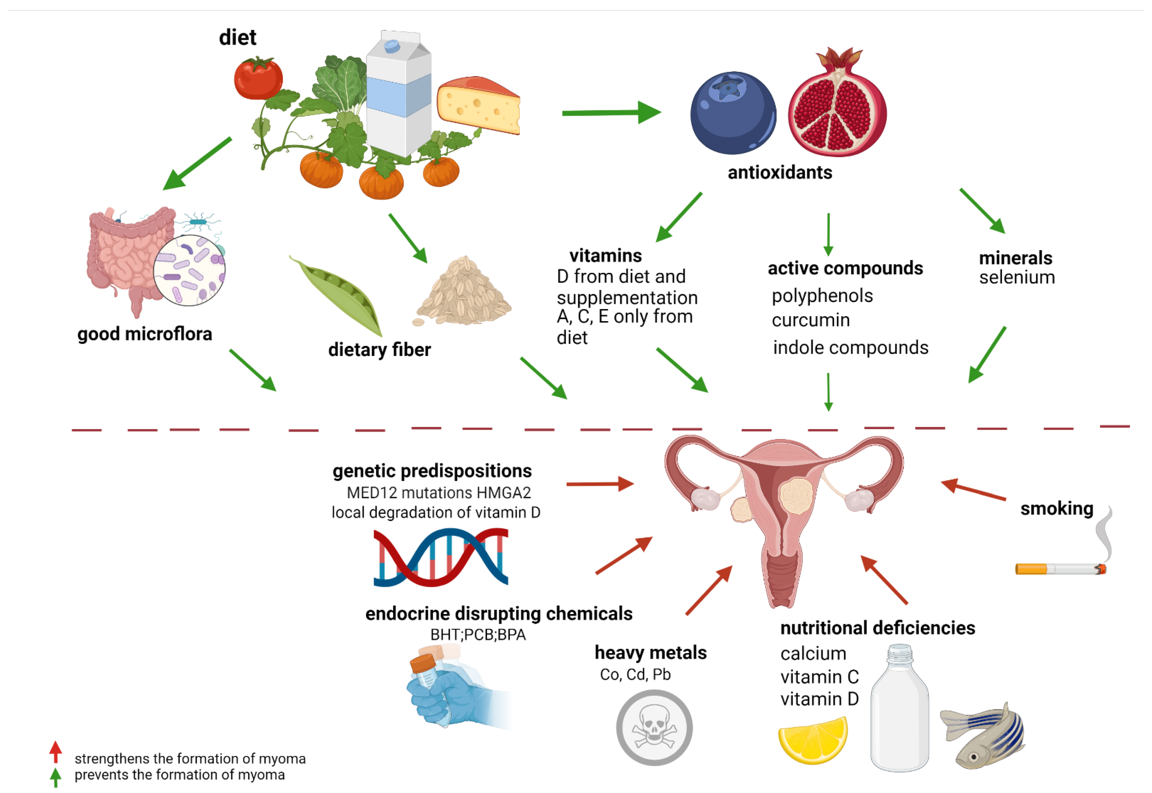 Nutrients 14 00734 g001 Nutrients 14 00734 g001