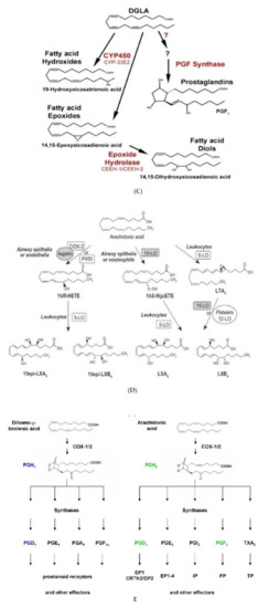 Nutrients 14 00749 g005b
