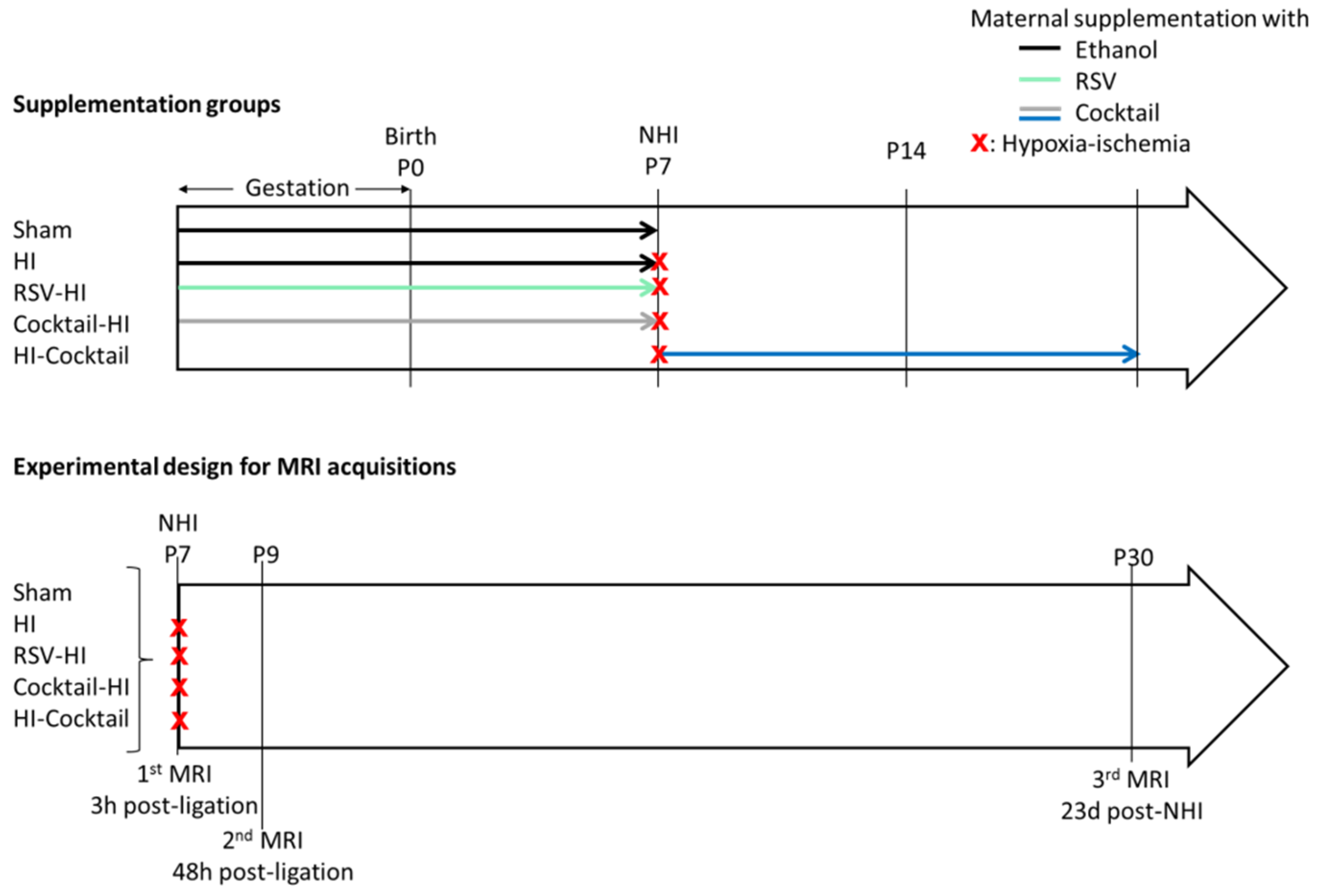 Nutrients 14 00773 sch002 Nutrients 14 00773 sch002