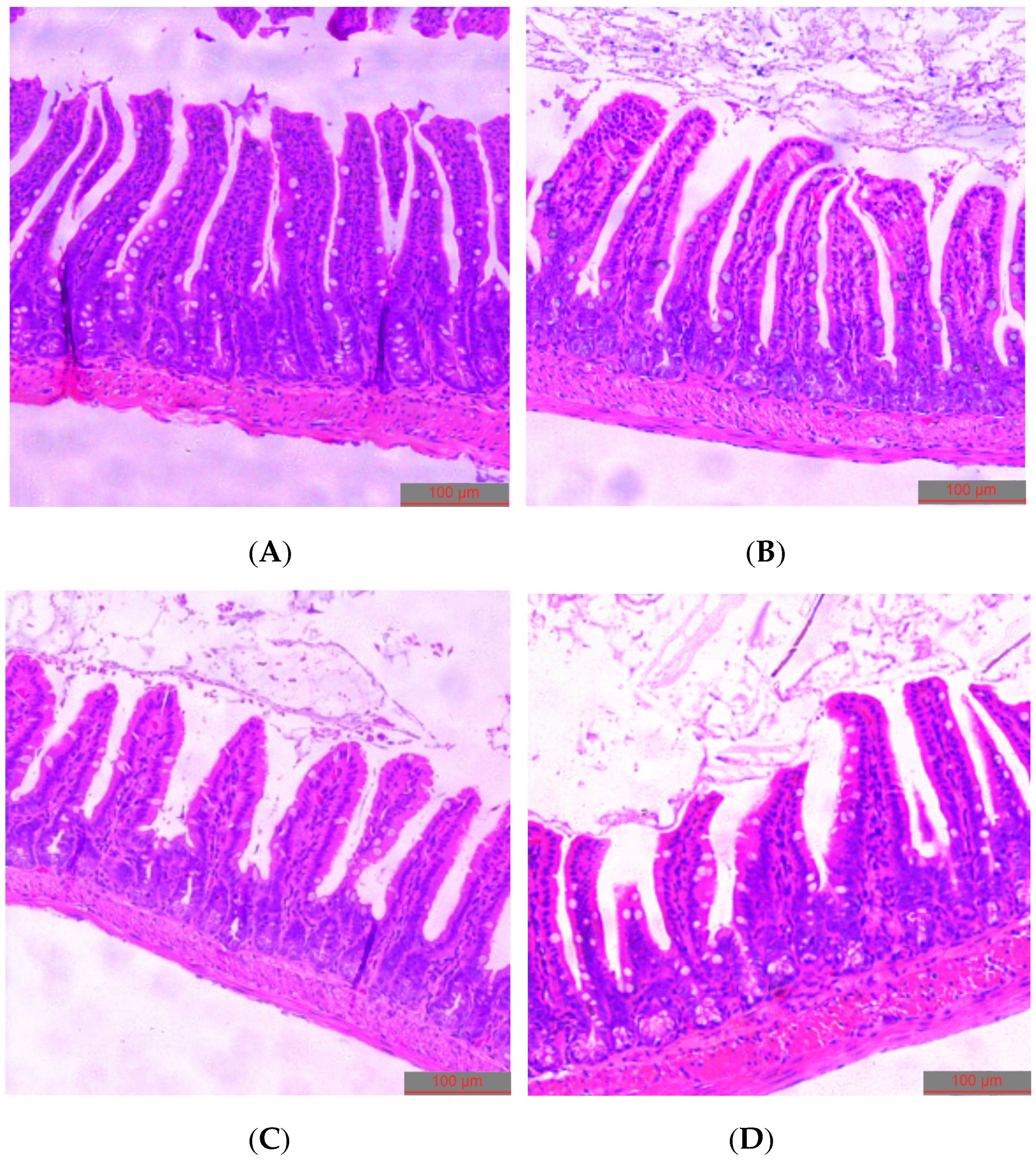 Nutrients 14 00776 g008