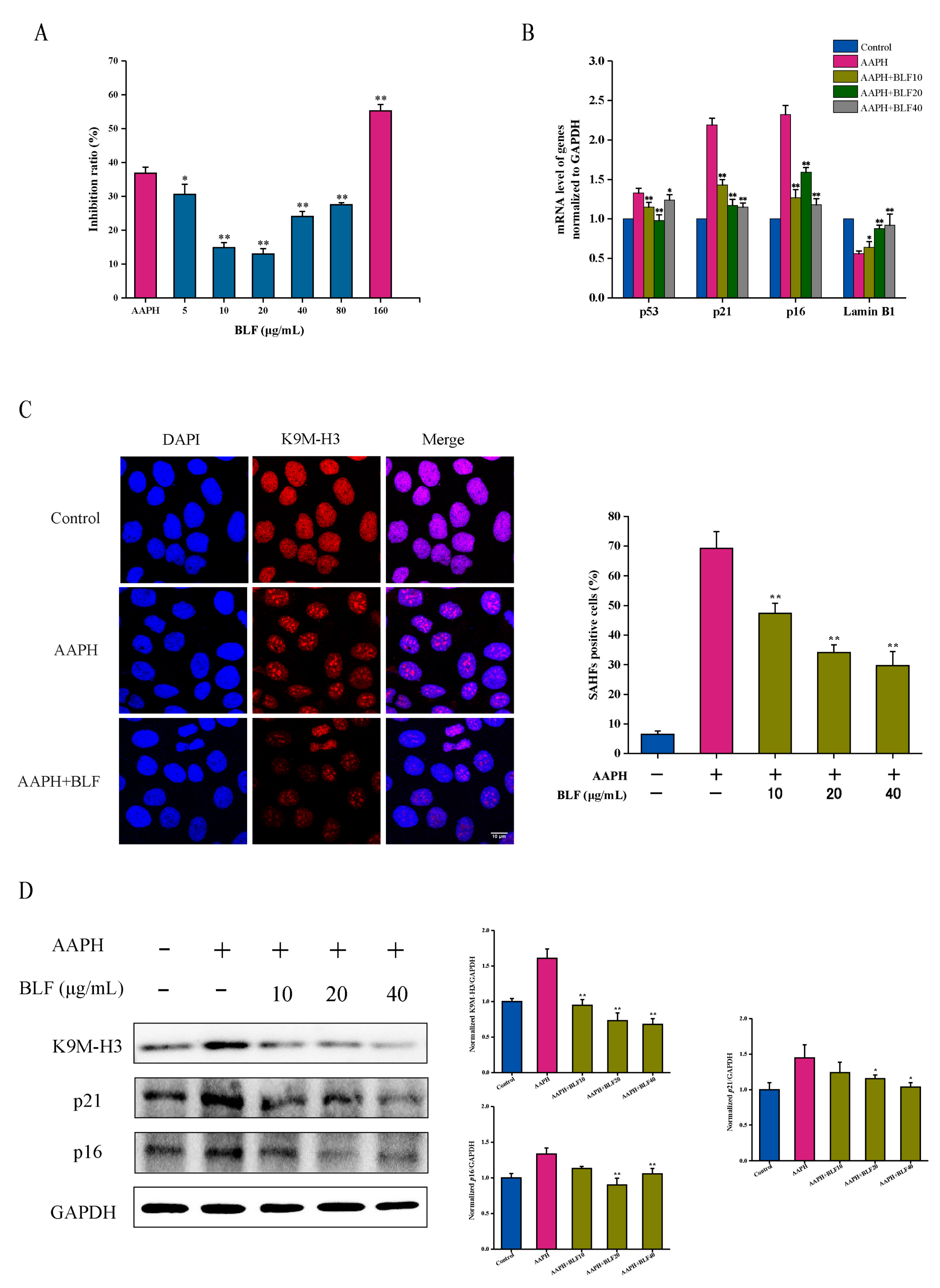 Nutrients 14 00793 g001