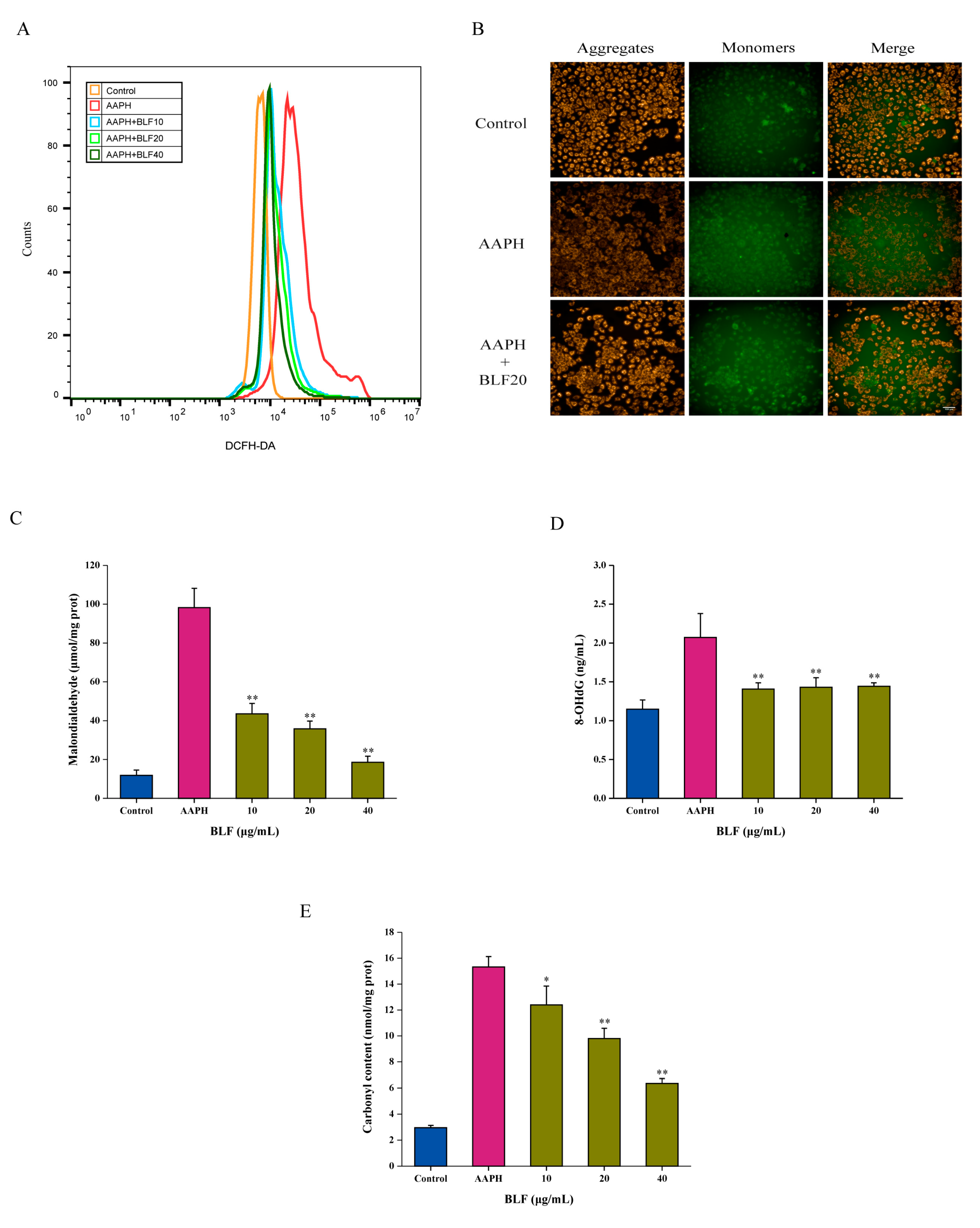 Nutrients 14 00793 g002