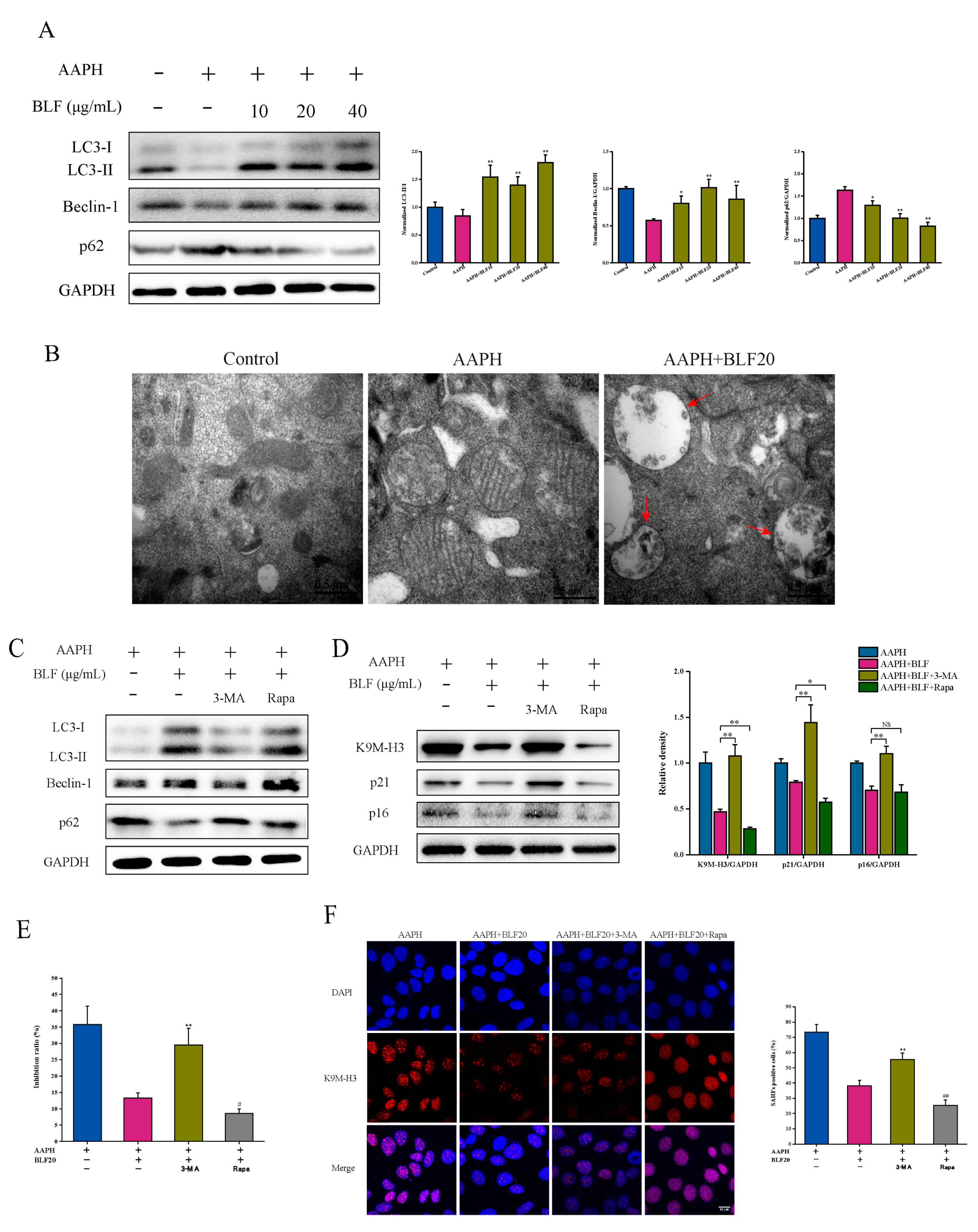 Nutrients 14 00793 g005
