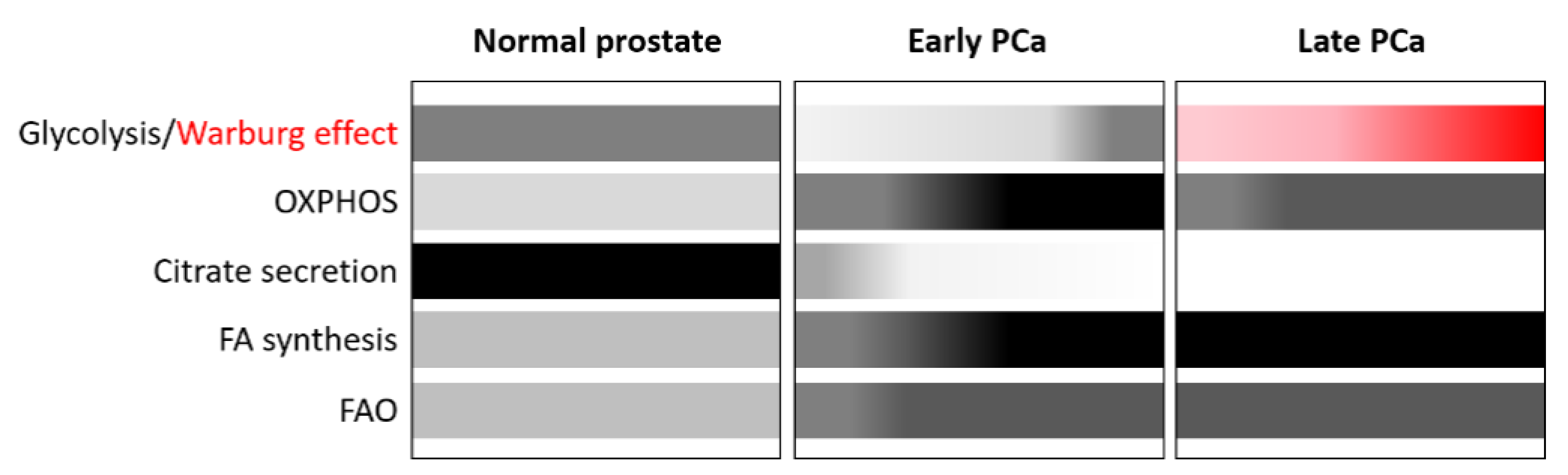 Nutrients 14 00851 g001