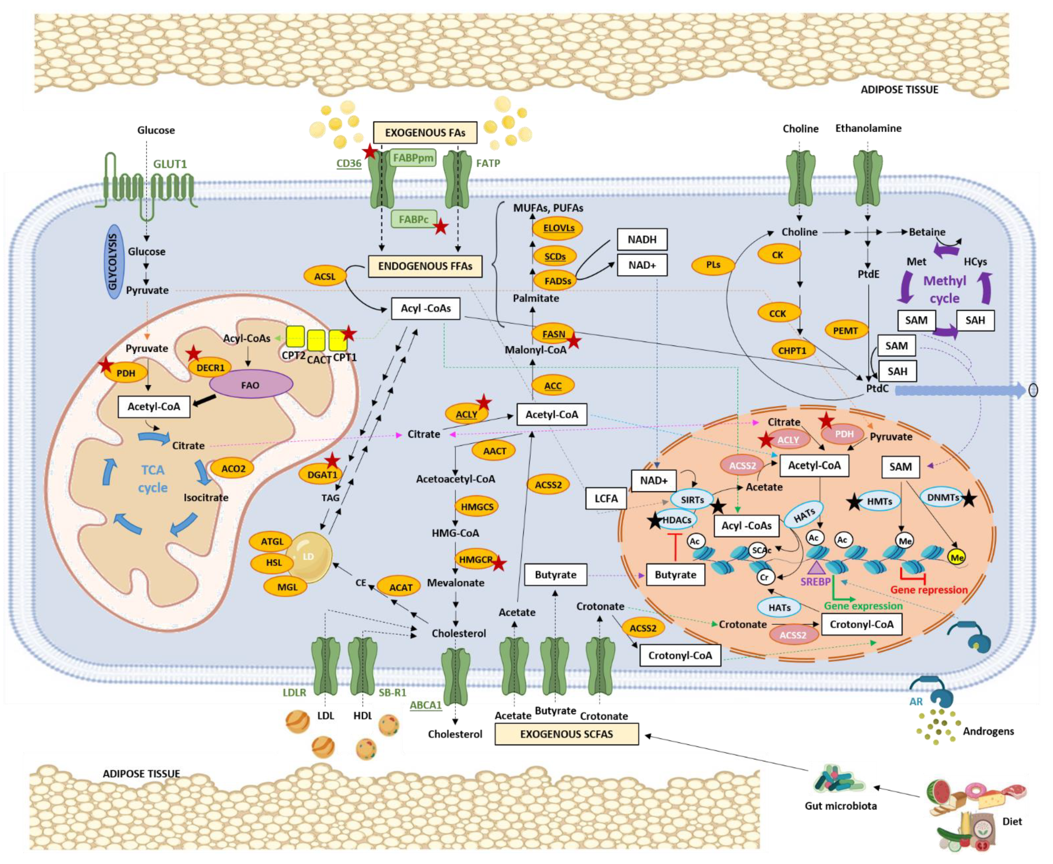 Nutrients 14 00851 g002