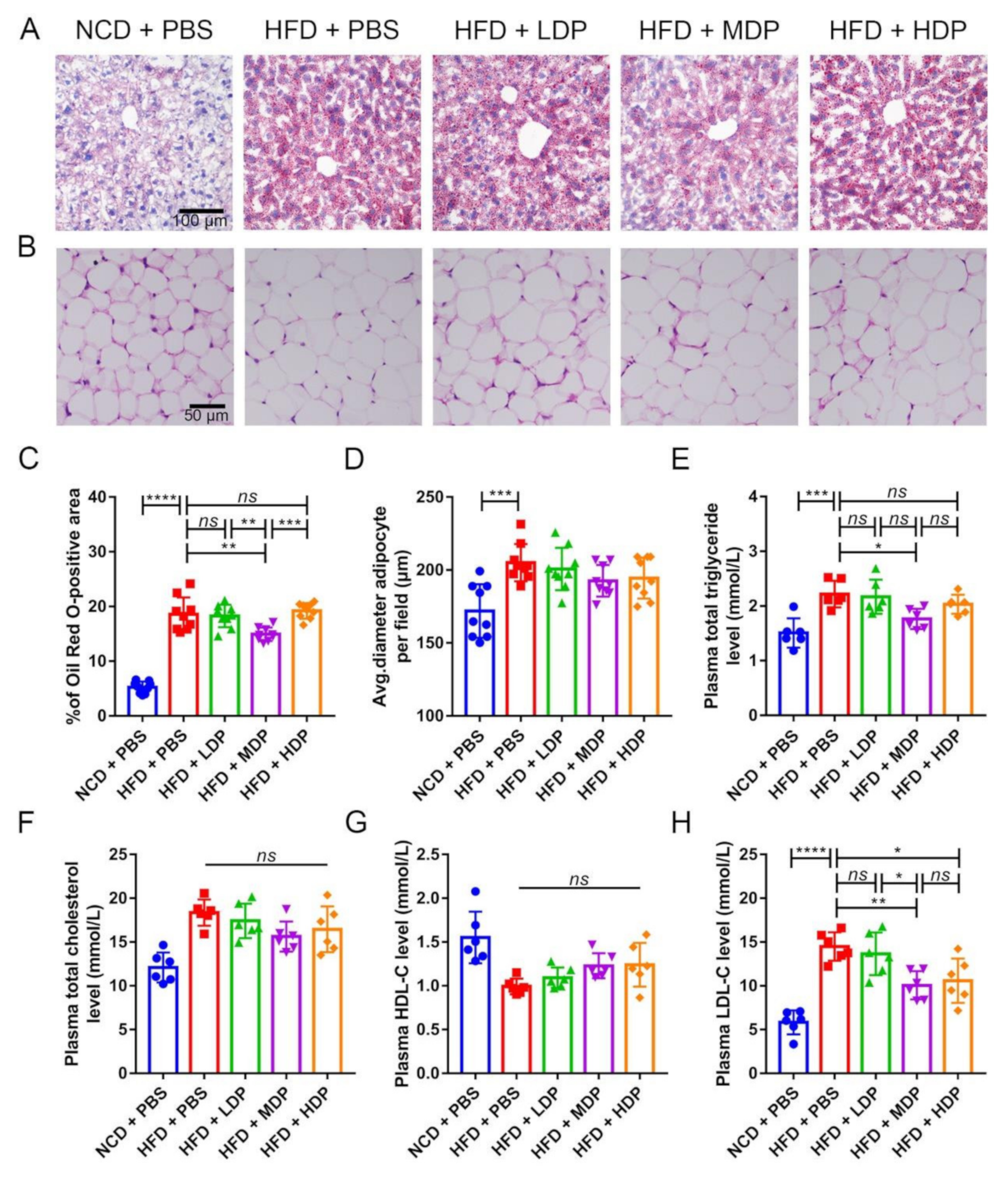 Nutrients 14 00855 g003