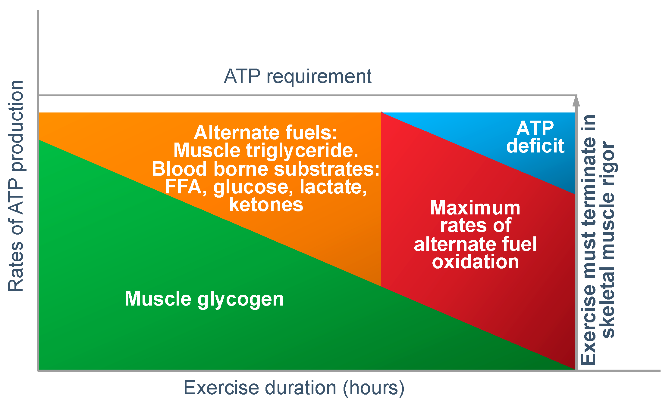 Nutrients 14 00862 g012 Nutrients 14 00862 g012