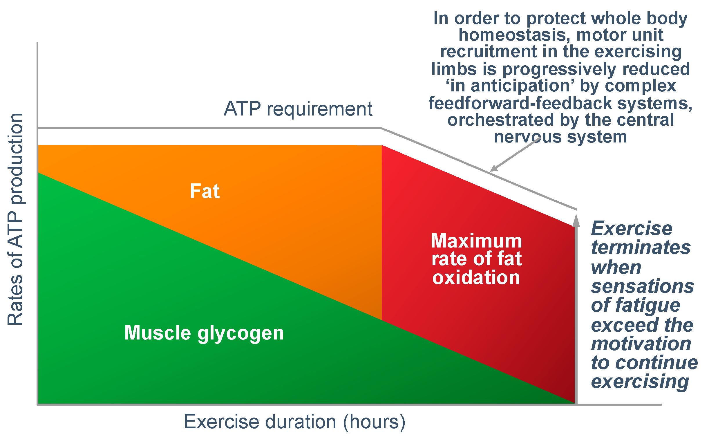 Nutrients 14 00862 g016 Nutrients 14 00862 g016